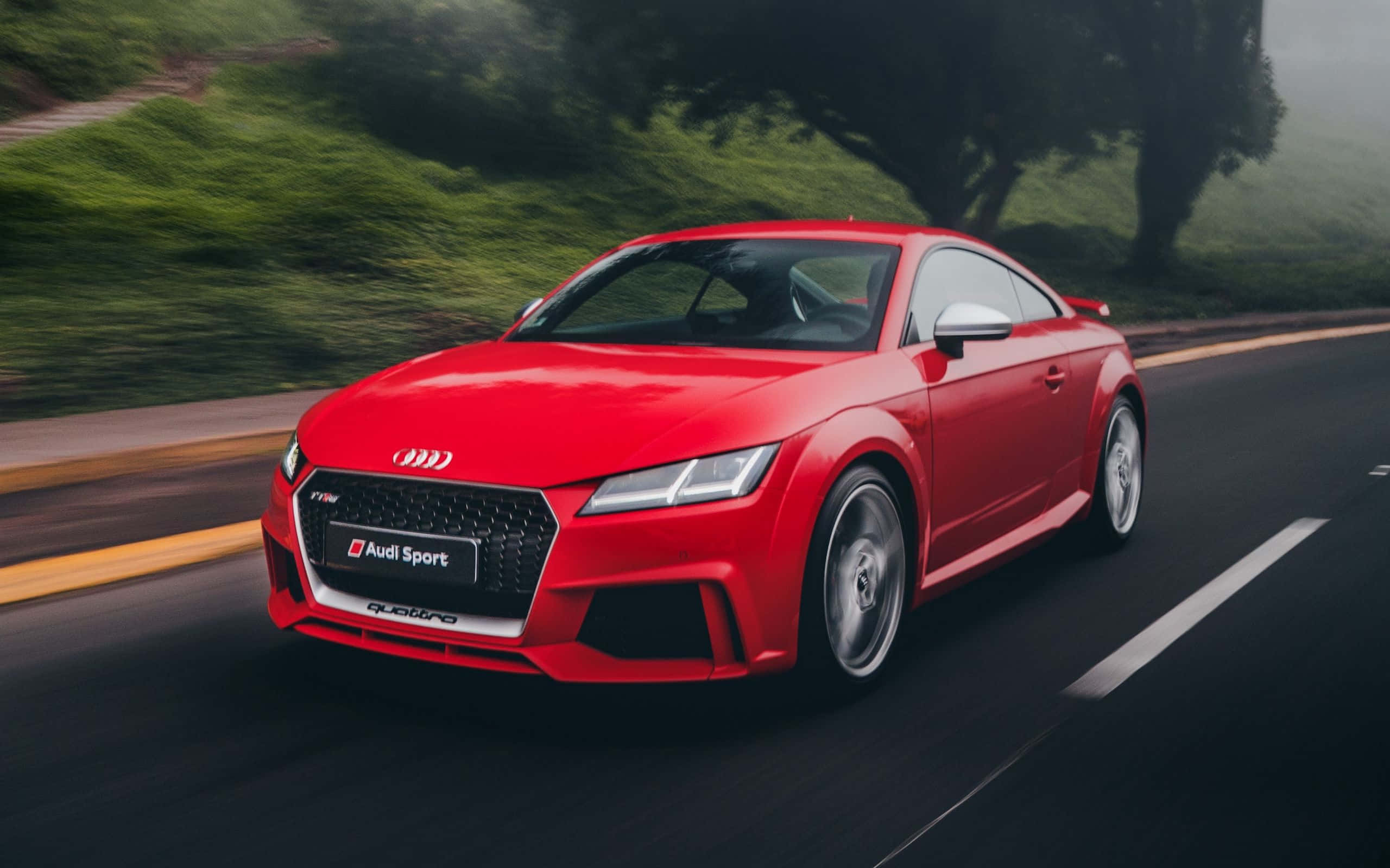 Audi Tt 桌布 壁紙 — 一輛充滿活力的紅色奧迪 TT RS Sport Coupe 沿著蜿蜒的道路穿過茂密的綠色森林，帶有動態模糊效果。