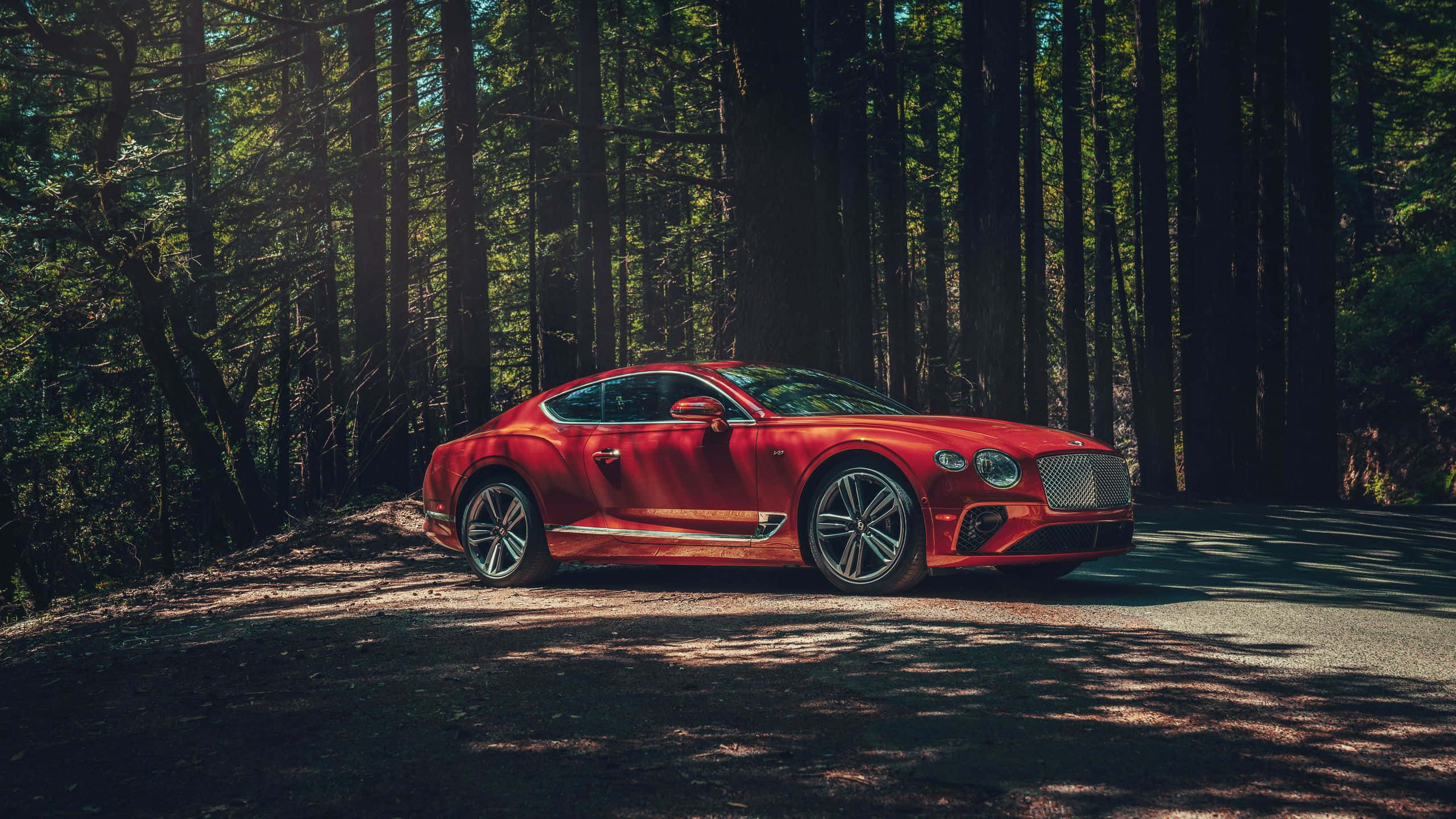 Best Bentley 桌布 壁紙 — 一輛充滿活力的紅色賓利 Continental GT 雙門跑車停放在陽光斑駁的森林道路上，周圍環繞著高大的樹木。
