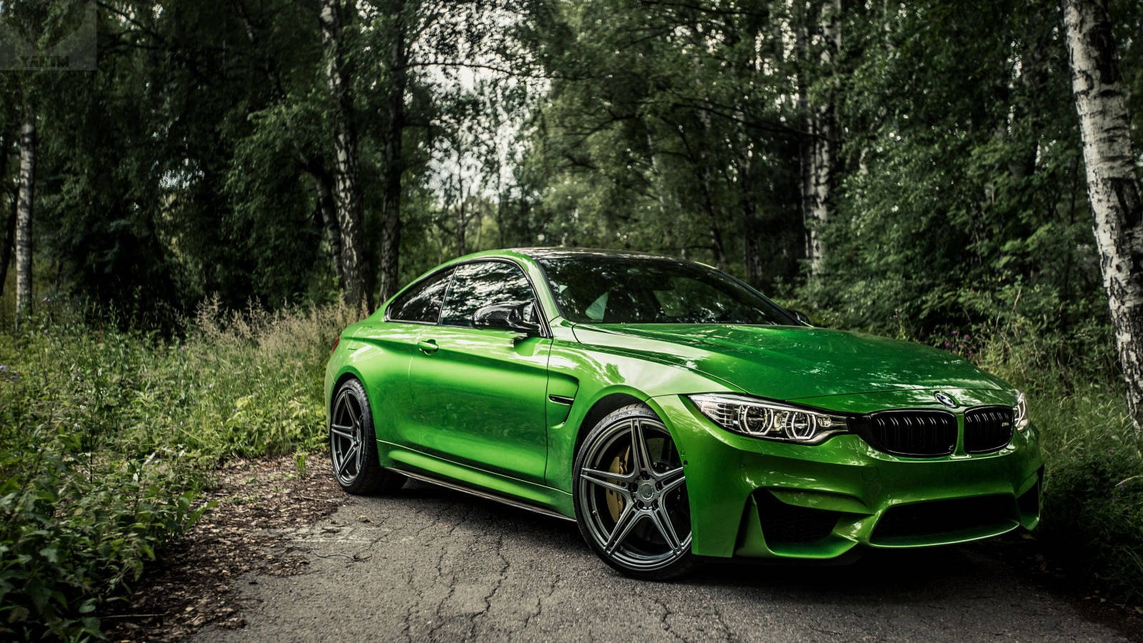 綠色BMW M4停放在被樹木環繞的林間道路上