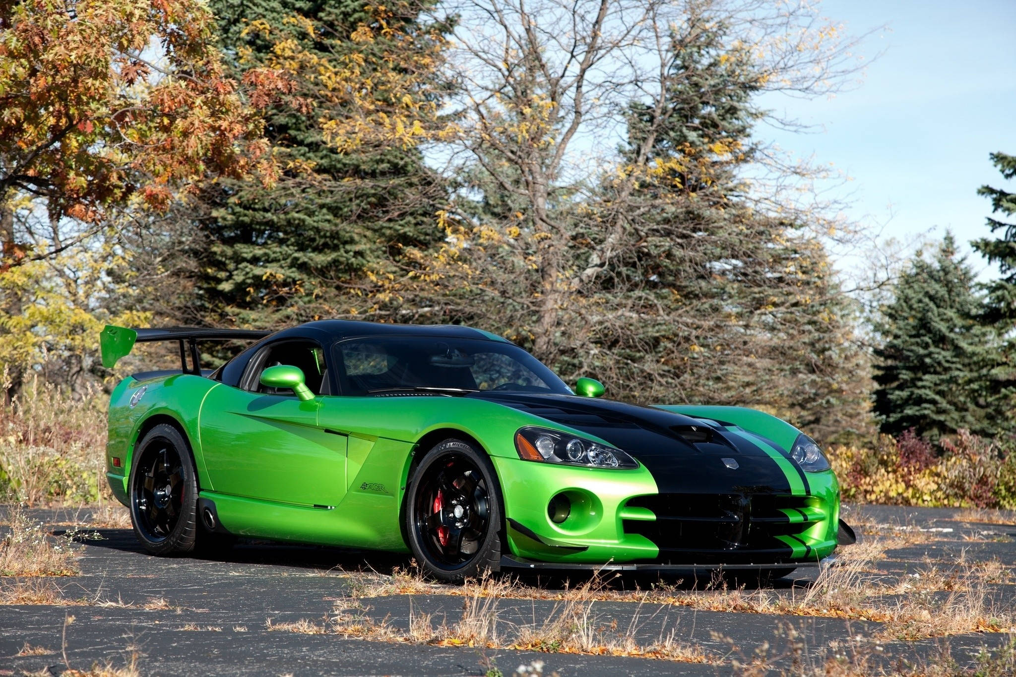 道奇隊 桌布 壁紙 — 一輛充滿活力的綠色Dodge Viper，帶有黑色飾邊，停在柏油路上，周圍是秋天的樹木。