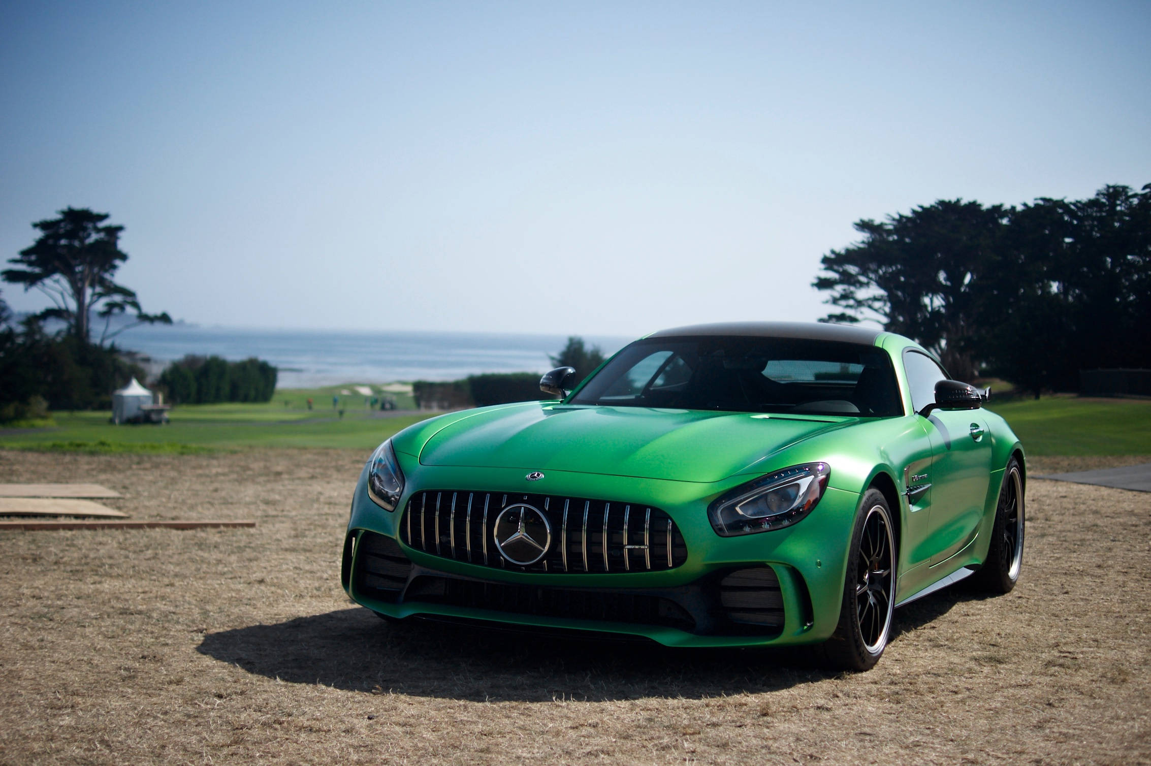Gtr 桌布 壁紙 — 一輛充滿活力的綠色Mercedes-AMG GT停在乾燥的草地上，背景是海洋和樹木，天空清澈湛藍。
