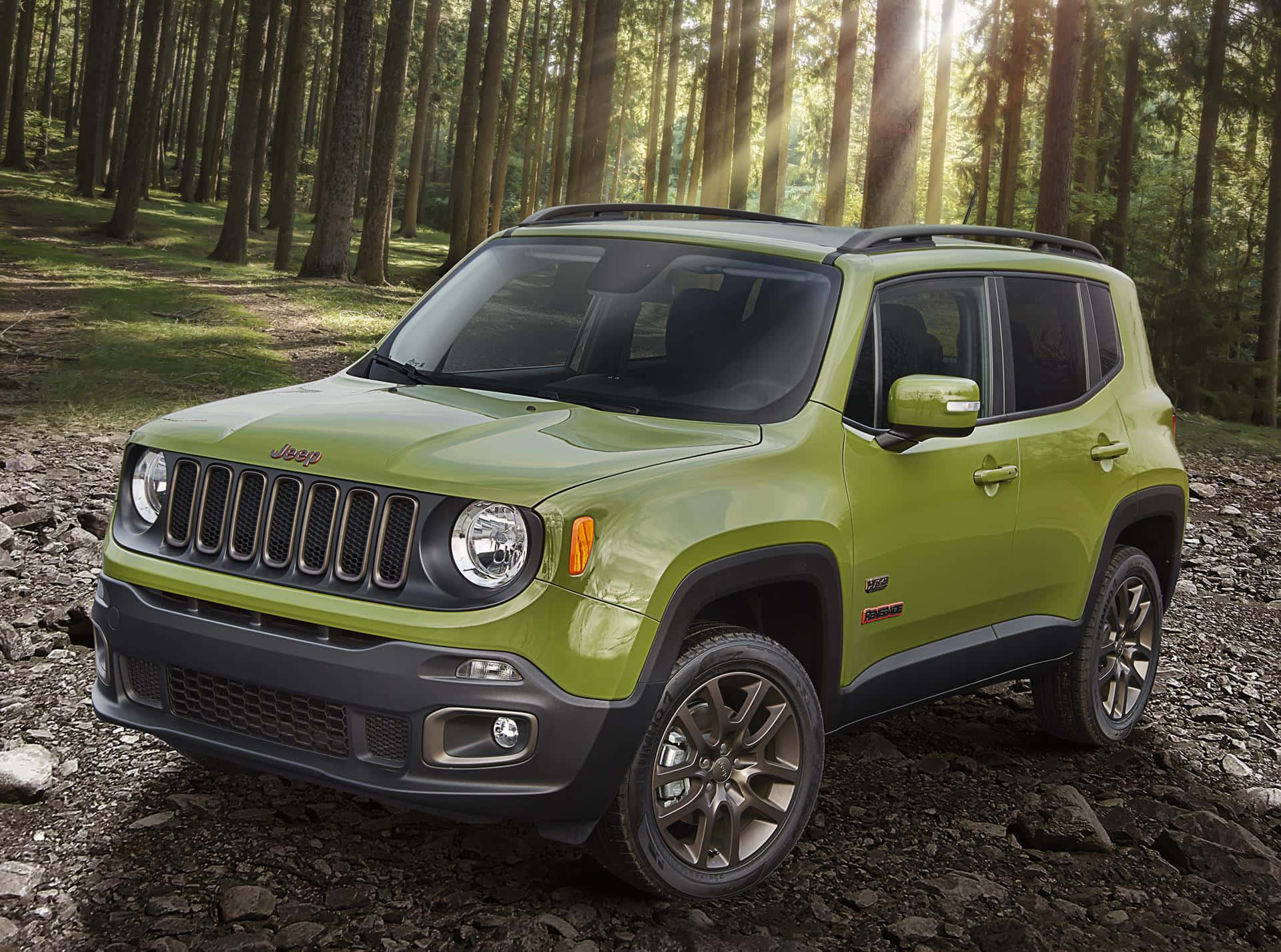 Jeep Renegade 桌布 壁紙 — 一輛充滿活力的萊姆綠色Jeep Renegade停在岩石森林小徑上，金色陽光穿過高聳的樹木灑落。