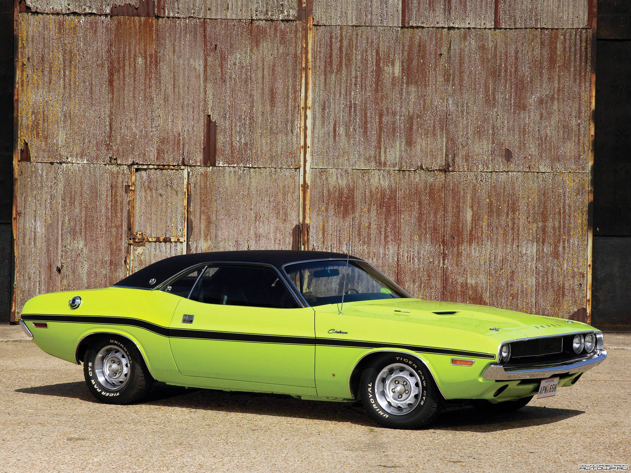 dodge iPhone 桌布 壁紙 — 一輛充滿活力的萊姆綠色經典肌肉車，帶有黑色車頂和賽車條紋，停在風化的生鏽金屬牆前。
