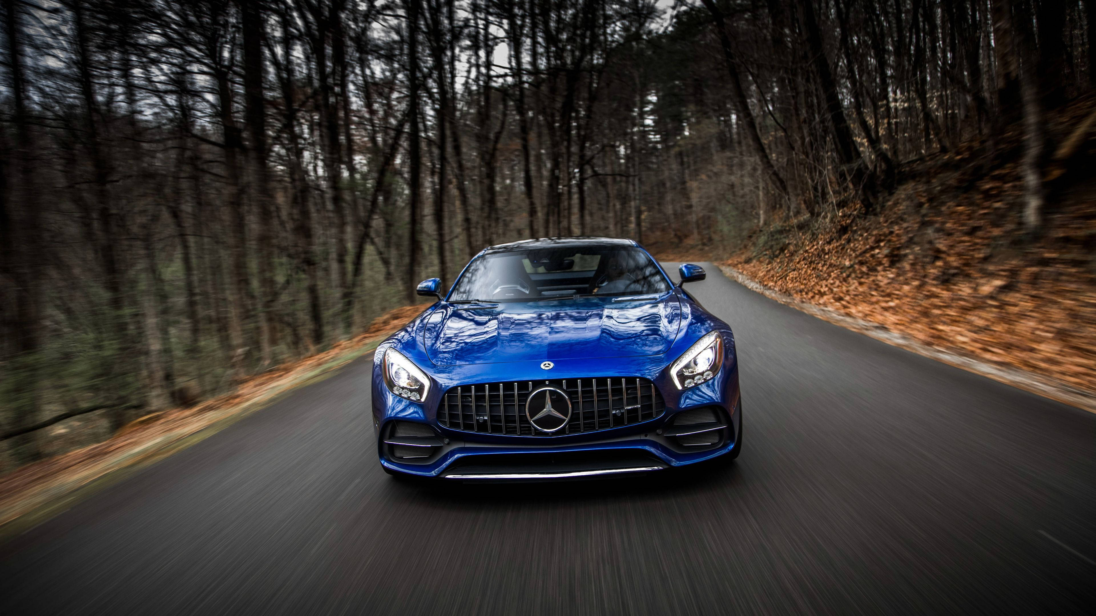 R 桌布 壁紙 — 一輛充滿活力的藍色 Mercedes-AMG GT 在蜿蜒的森林道路上疾馳，背景是模糊的秋葉。