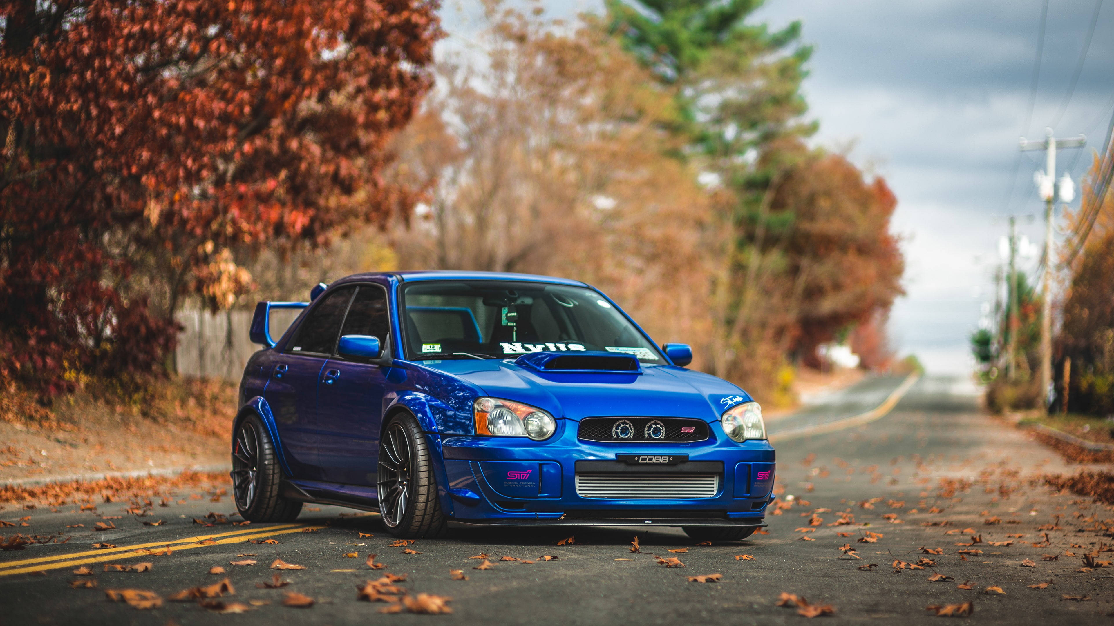 Road 桌布 壁紙 — 一輛充滿活力的藍色 Subaru WRX STI 跑車停在一條落葉覆蓋的道路上，兩旁是秋樹，天空多雲。