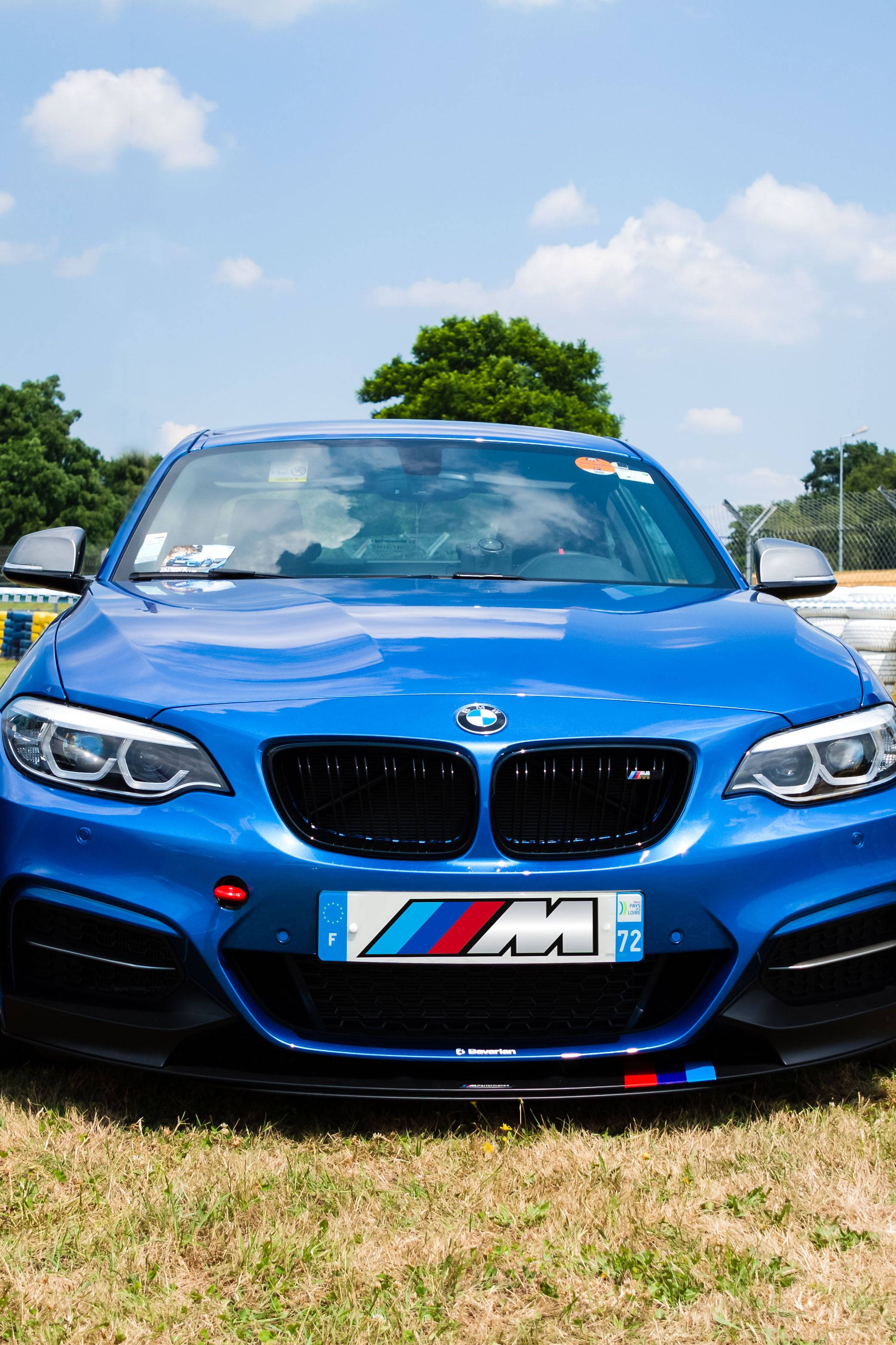 Grass 桌布 壁紙 — 一輛充滿活力的藍色BMW M2跑車在明亮的陽光下閃閃發光，背景是晴朗的天空和綠樹。