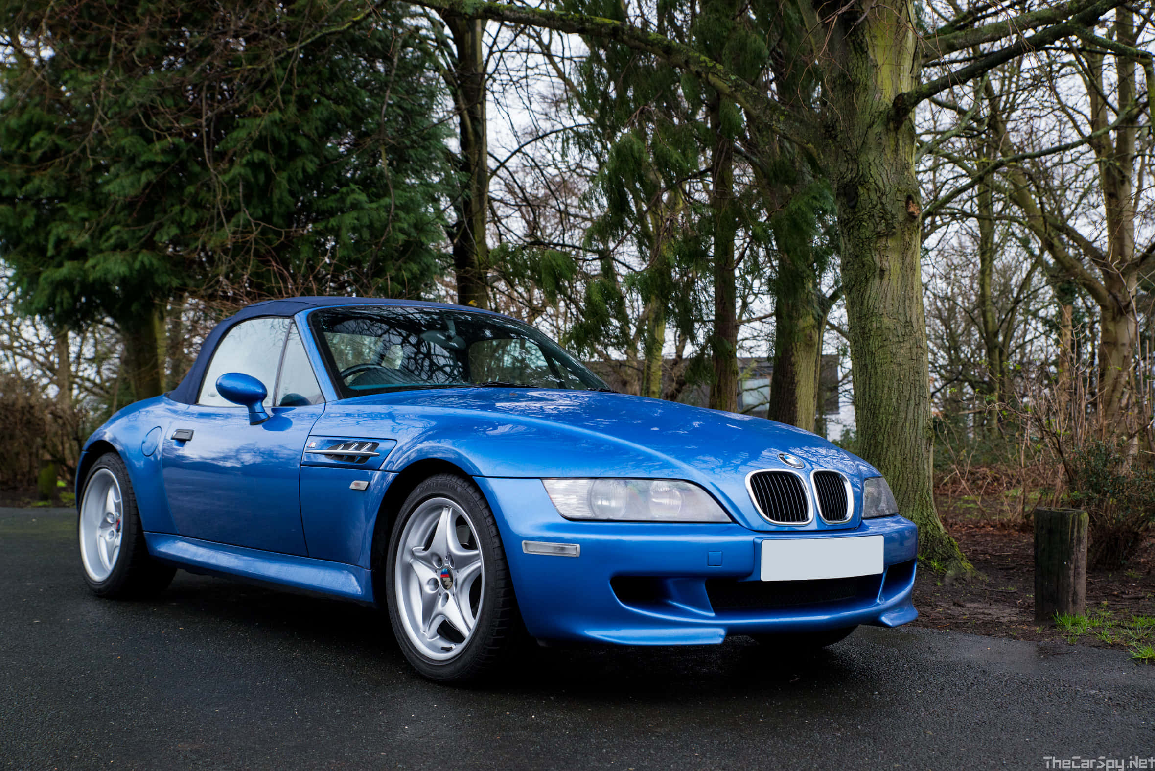 Bmw Z3 桌布 壁紙 — 一輛充滿活力的藍色BMW Z8跑車停泊在潮濕的瀝青路上，周圍是樹林地區的無葉樹木。