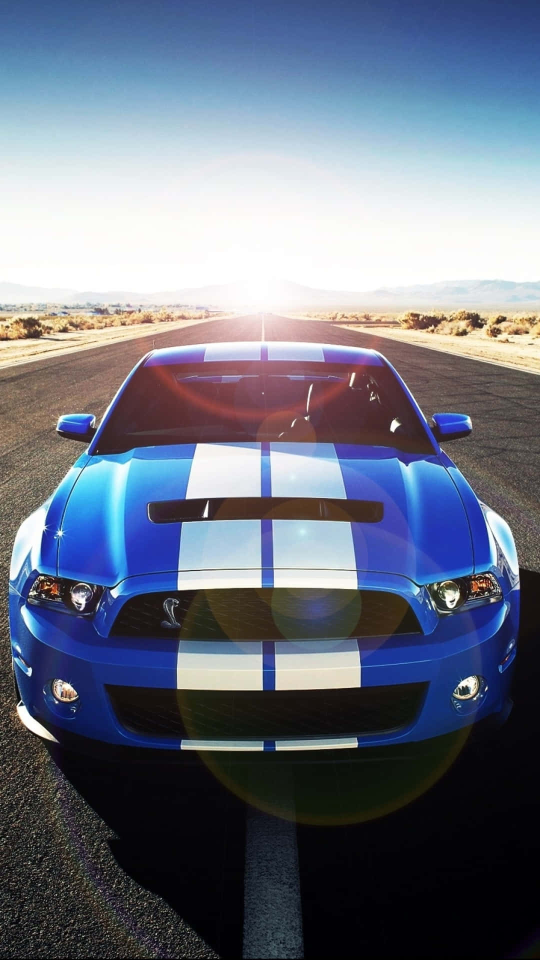 福特 桌布 壁紙 — 一輛充滿活力的藍色Shelby Mustang帶有白色賽車條紋，在明亮的陽光下於沙漠公路上面向鏡頭。