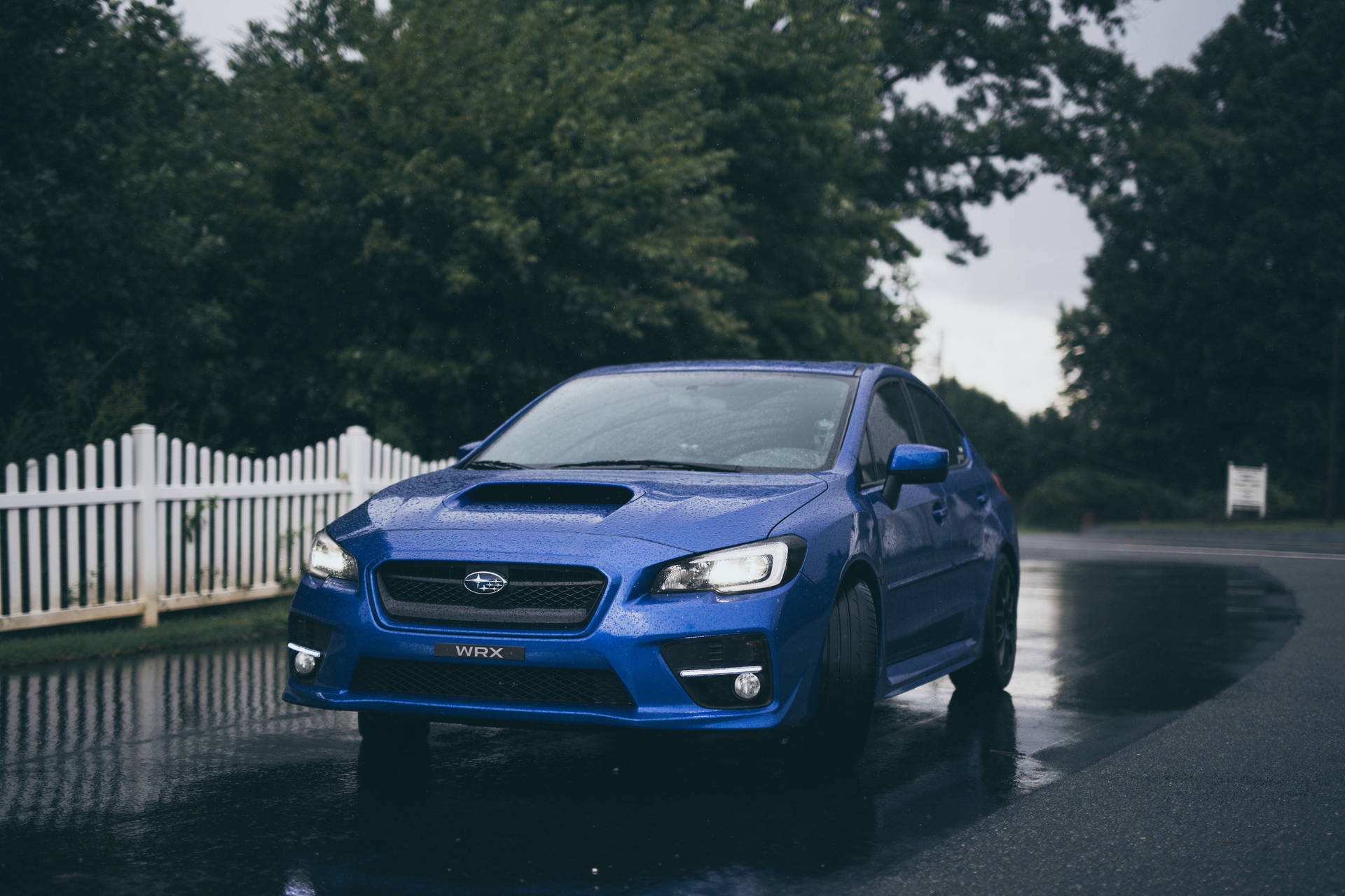 藍色Subaru WRX在潮濕道路上，背景有樹木和白色柵欄 — 下雨 GIF 壁紙