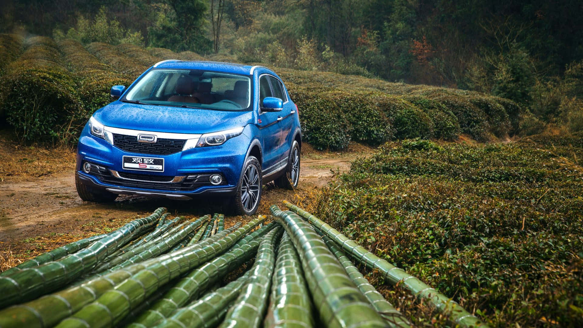 Qoros 桌布 壁紙 — 一輛充滿活力的藍色SUV停在一條泥路上，周圍是茂密的綠色茶園和前景的竹莖。