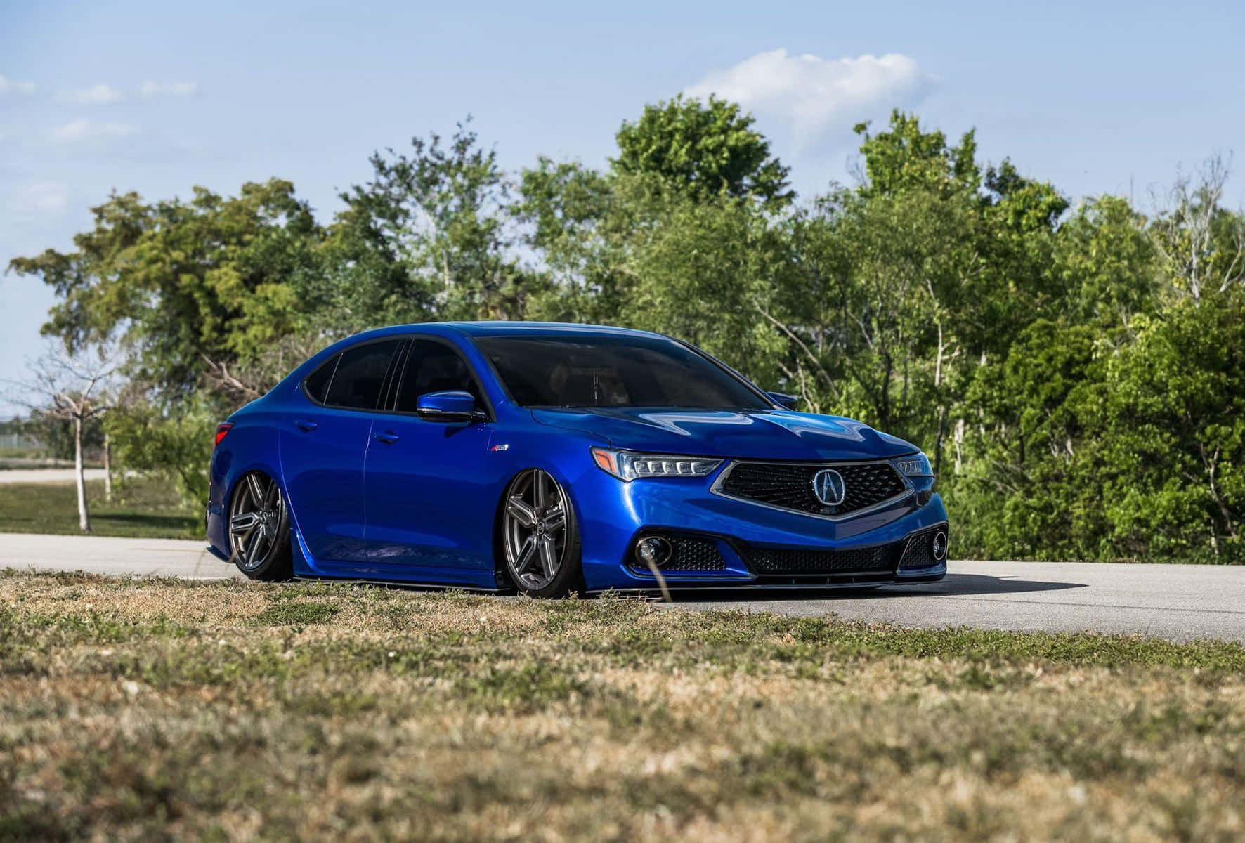 Acura Tlx 桌布 壁紙 — 一輛充滿活力的藍色改裝轎車配備定制輪圈，低矮地停在路邊，周圍是綠樹，天空晴朗。