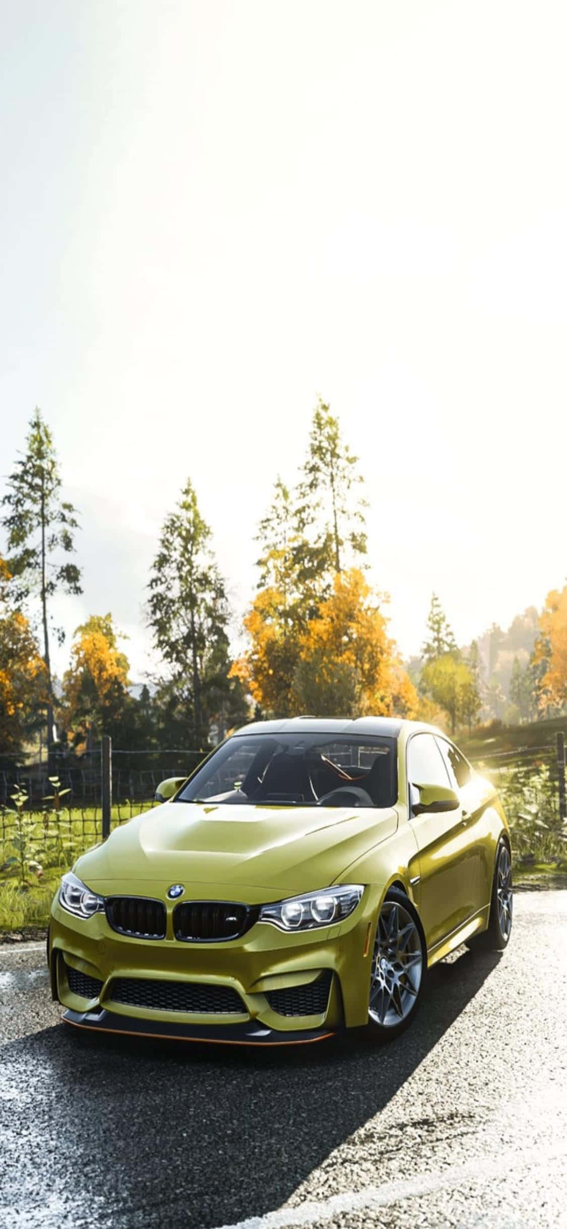iPhone Xs Forza Horizon 4 桌布 壁紙 — 一輛充滿活力的青檸綠色BMW M4雙門跑車停泊在碎石路上，周圍是秋天的樹木，天空晴朗。