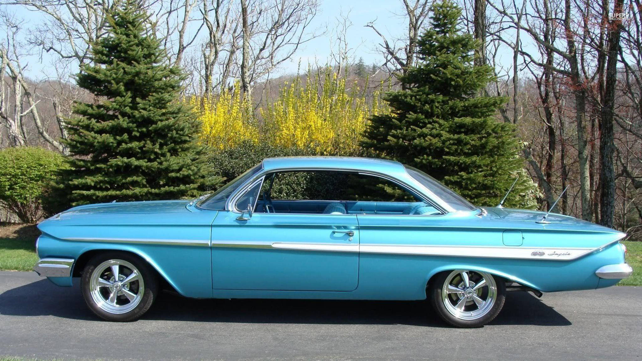 chevrolet impala 1967 桌布 壁紙 — 一輛充滿活力的青綠色經典汽車，帶有鍍鉻細節，停在柏油路上，旁邊是常綠樹和盛開的黃色連翹。