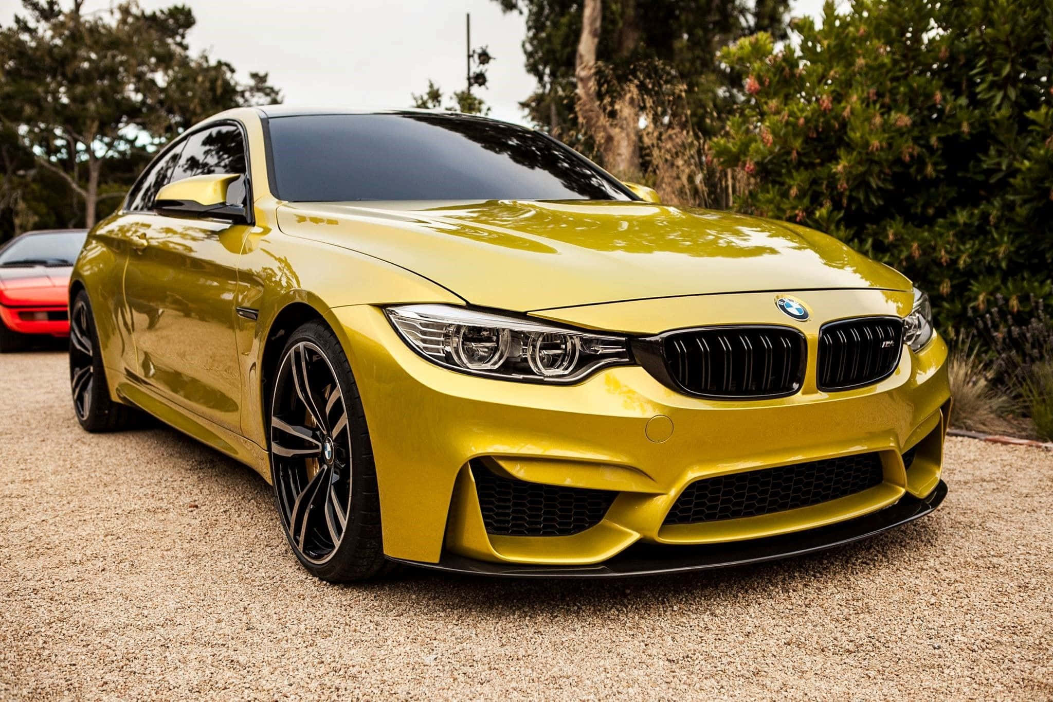 BMW 動圖 桌布 壁紙 — 一輛充滿活力的黃色BMW M4雙門跑車在柔和日光下停在碎石路上，旁邊是茂密的綠樹，閃閃發光。