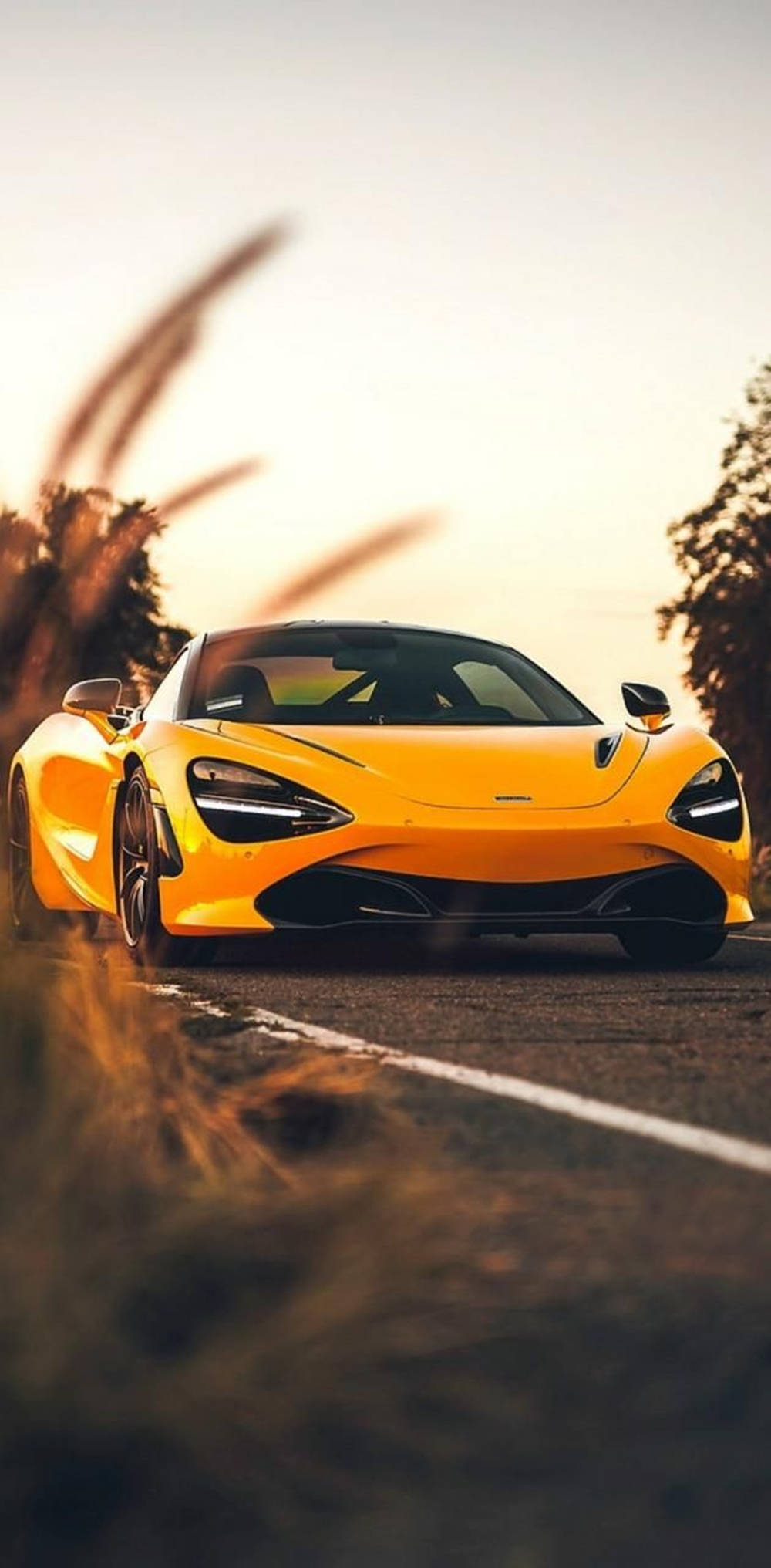 Road 桌布 壁紙 — 一輛充滿活力的黃色McLaren跑車在陽光照耀的道路上行駛，兩旁是金色時刻模糊的金色草叢。