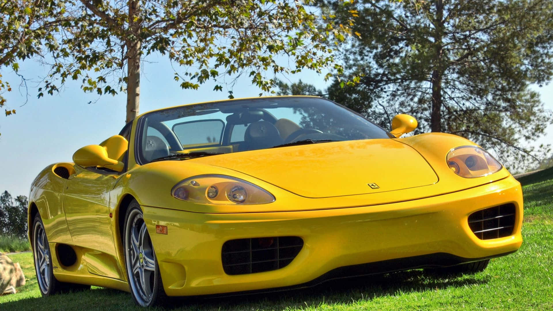 Ferrari 360 Modena 桌布 壁紙 — 一輛充滿活力的黃色法拉利375 Spider停在茂密的綠草地上，周圍是枝葉繁茂的樹木，在一個晴朗明媚的日子裡。