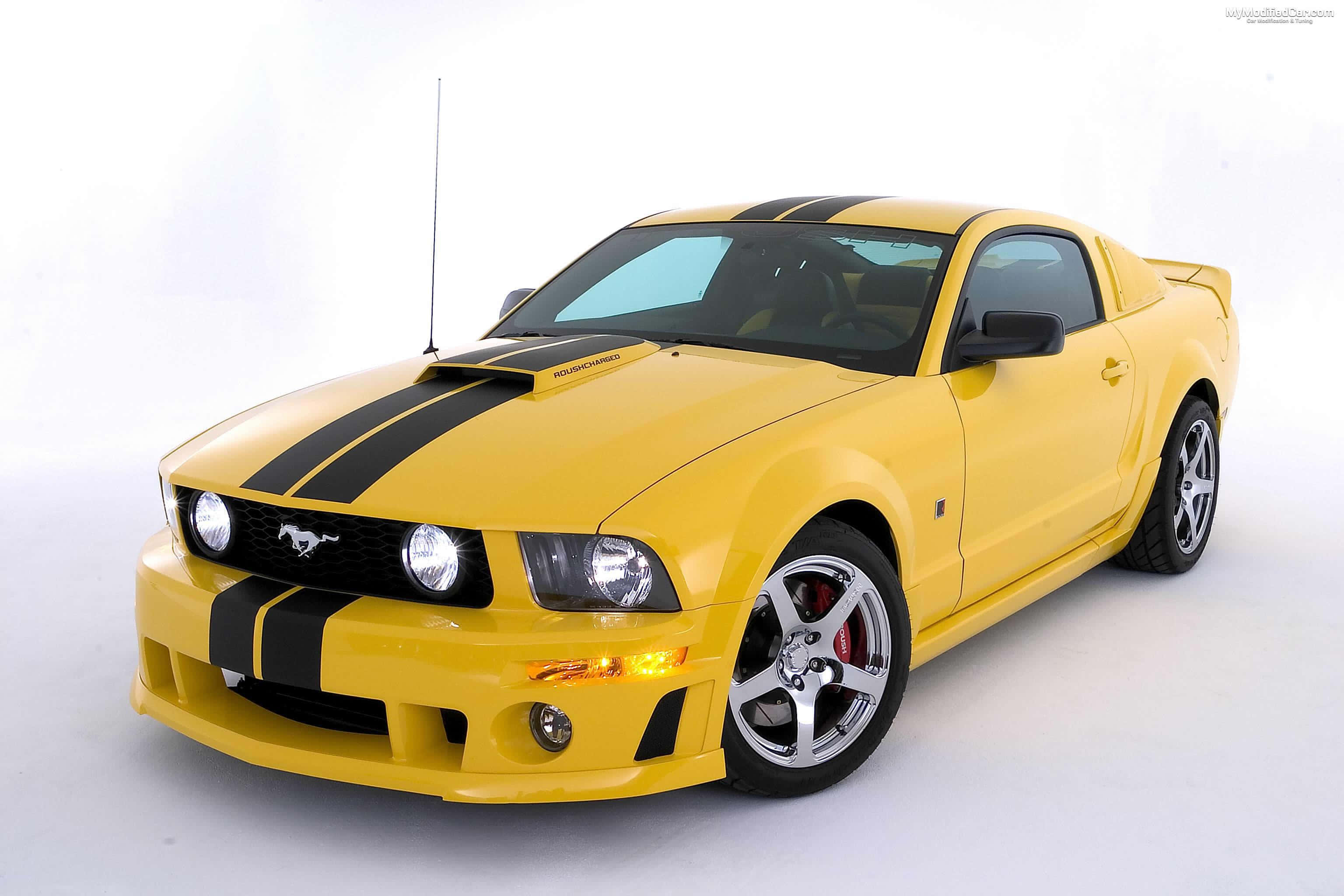 Modified Car 桌布 壁紙 — 一輛充滿活力的黃色福特野馬，帶有黑色賽車條紋和紅色制動卡鉗，在潔白的攝影棚背景前擺拍。