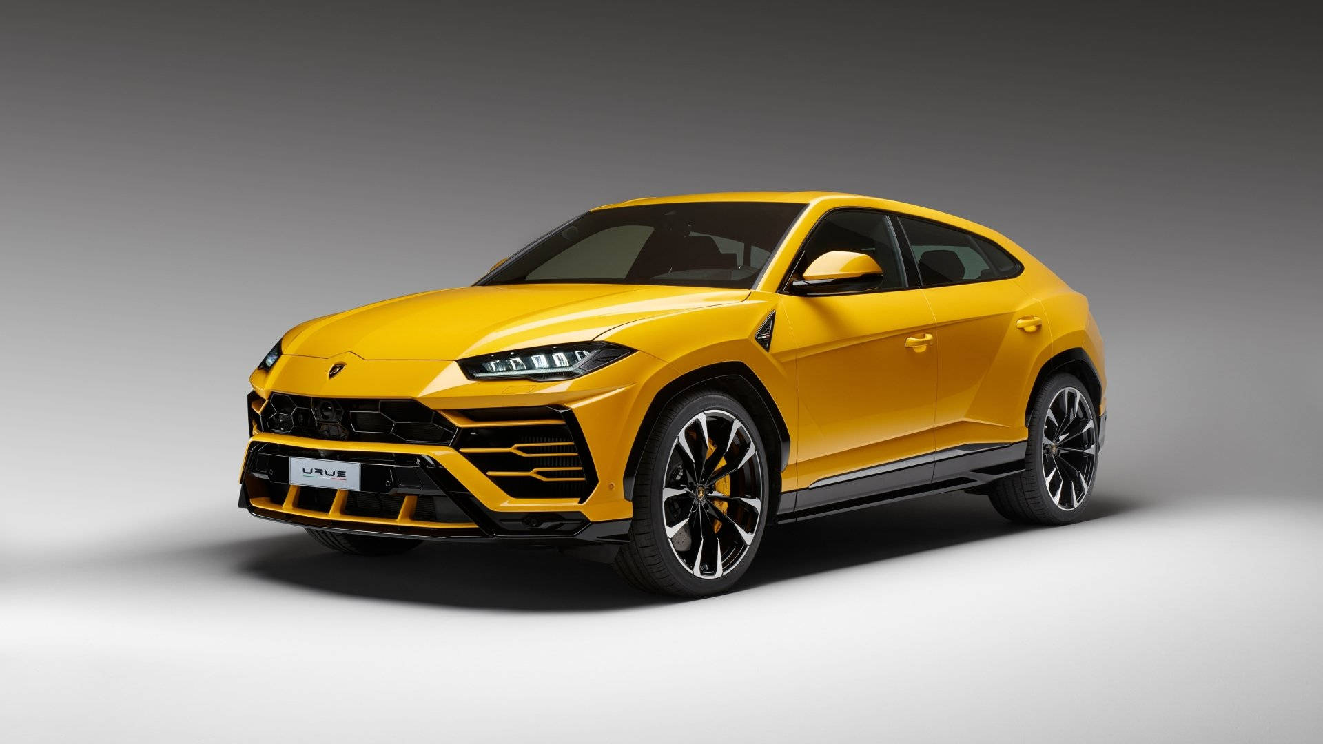 lambo 桌布 壁紙 — 一輛充滿活力的黃色藍寶堅尼 Urus SUV 在簡約灰色背景的攝影棚燈光下閃閃發光。