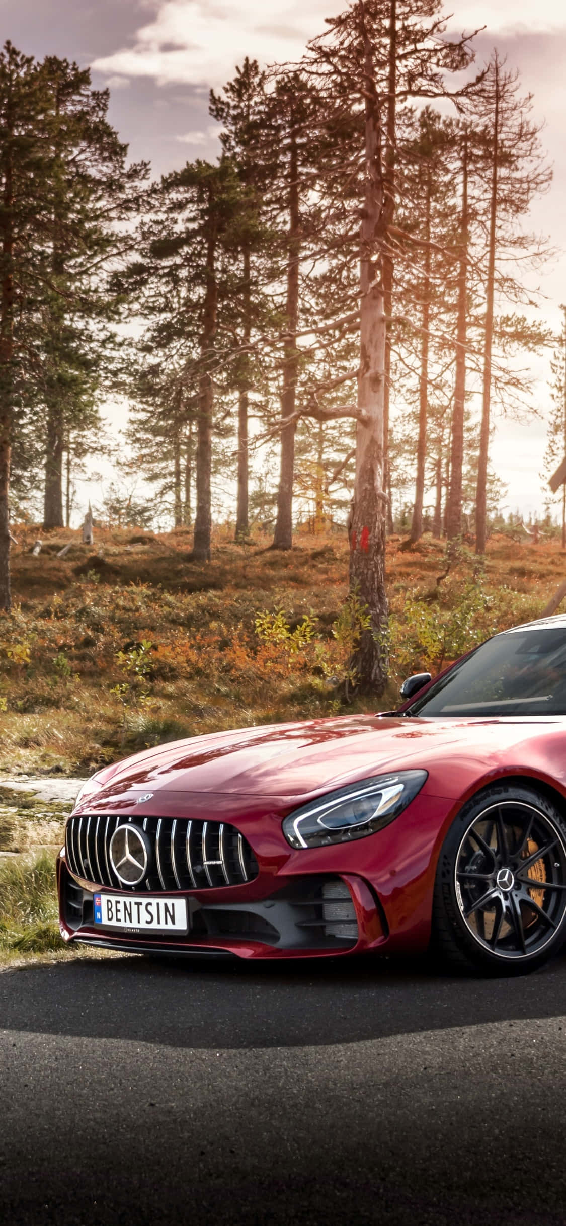 iPhone X Amg Gt-r 桌布 壁紙 — 一輛光亮的紅色 Mercedes-AMG GT 停泊在森林道路上，沐浴在透過高大松樹灑落的金色夕陽光中。