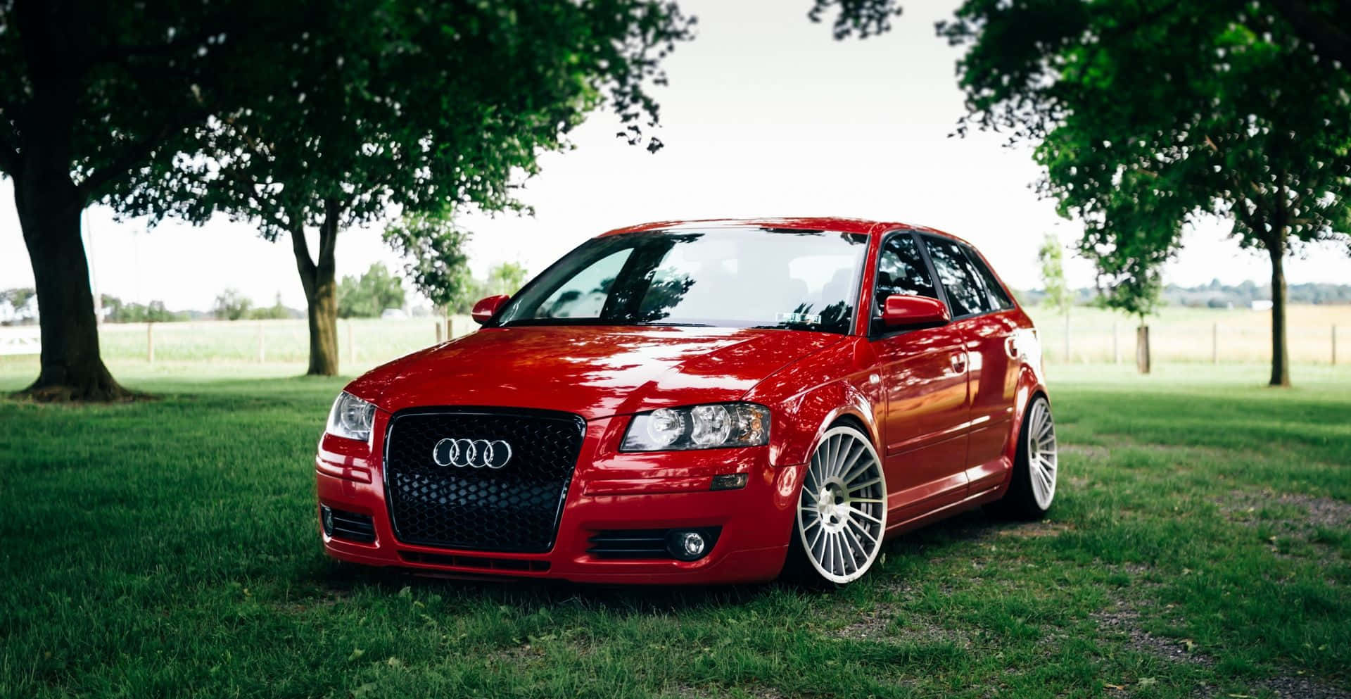Audi A3 桌布 壁紙 — 一輛光亮的紅色Audi旅行車在晴朗的日子停放在枝葉茂密的樹下的草地上。