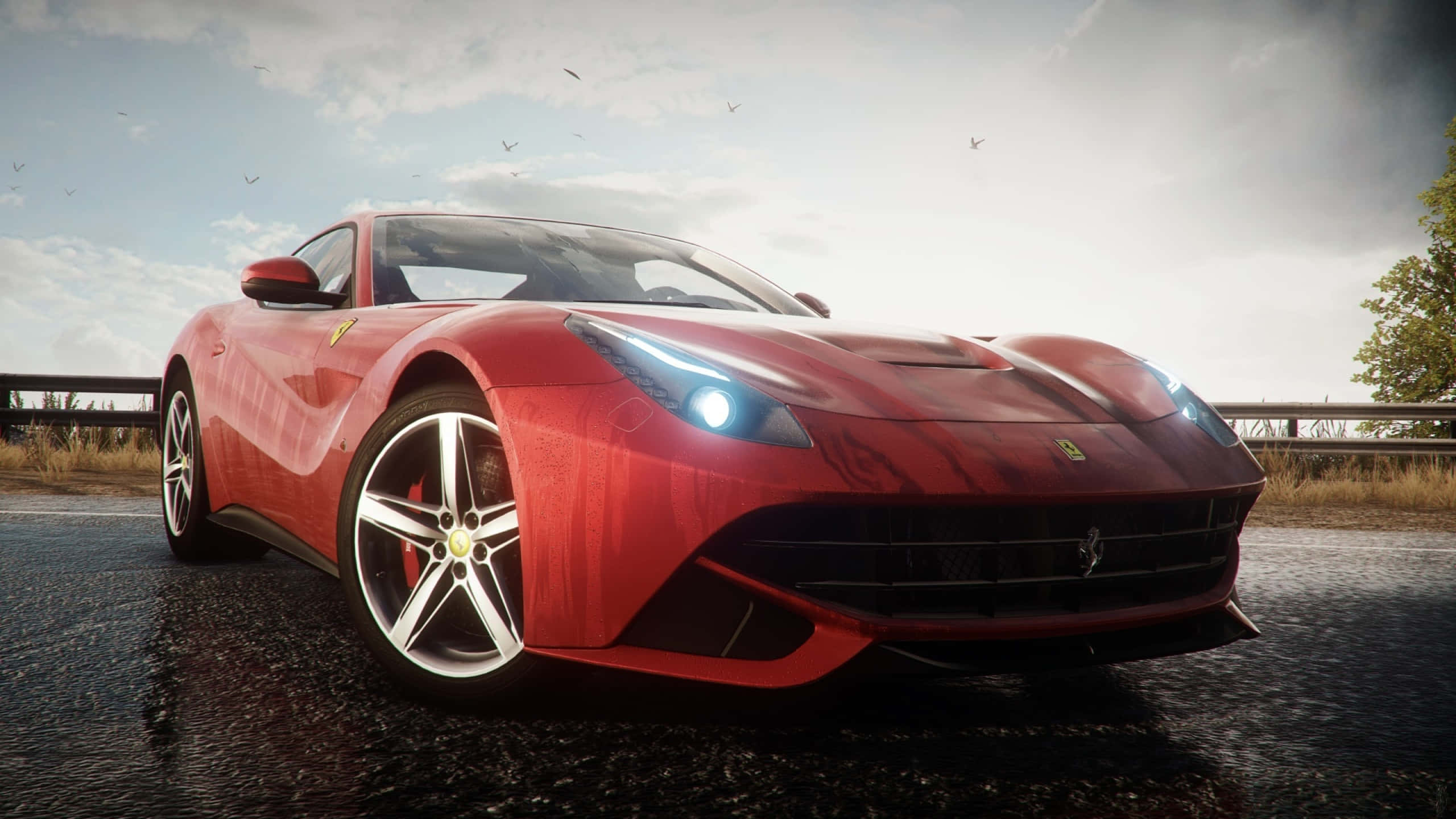 Ferrari F12 Berlinetta 桌布 壁紙 — 一輛光亮的紅色法拉利跑車在潮濕的道路上閃閃發光，天空陰沉，鳥兒在頭頂飛翔。