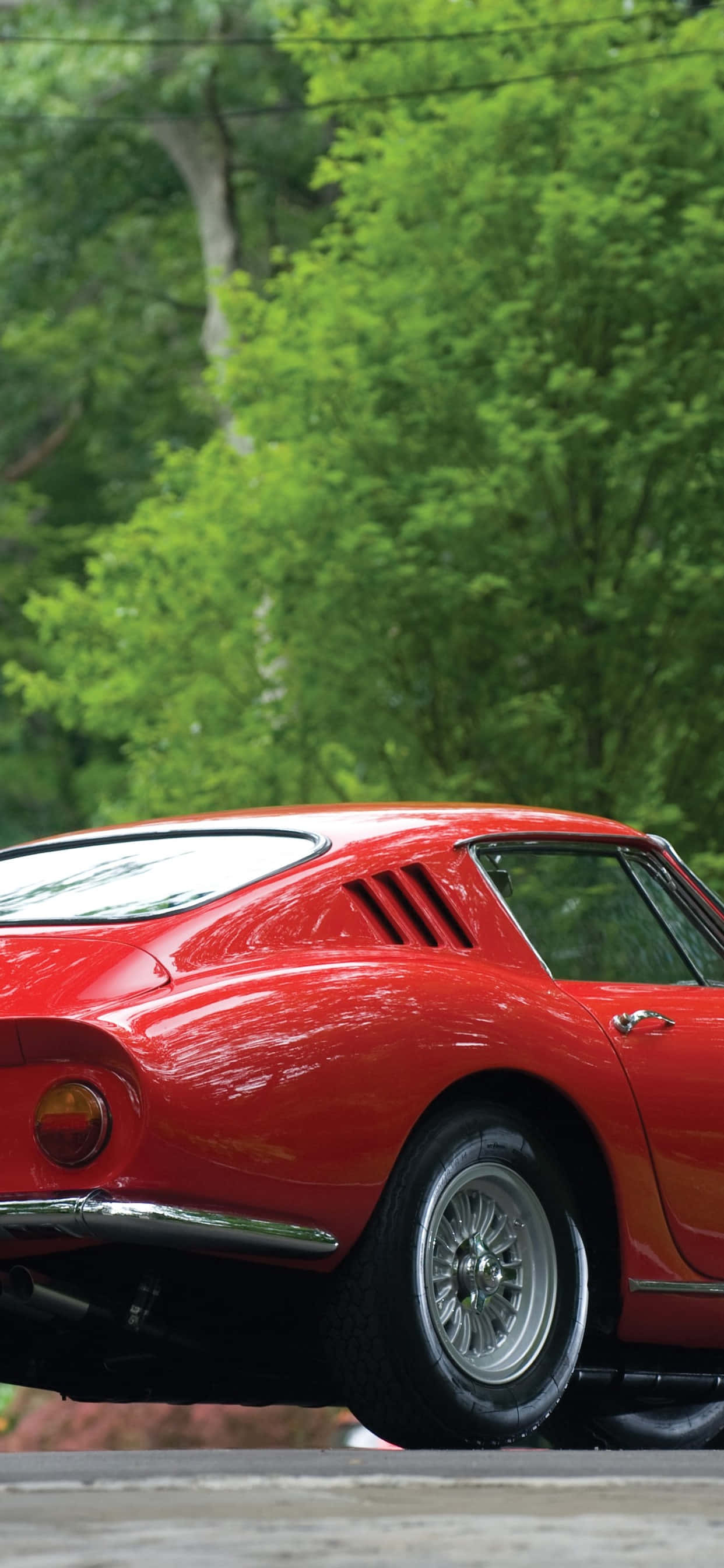 Vintage Ferrari 桌布 壁紙 — 一輛光亮的紅色經典跑車在柔和日光下，沿著兩旁綠樹成蔭的道路滑行。
