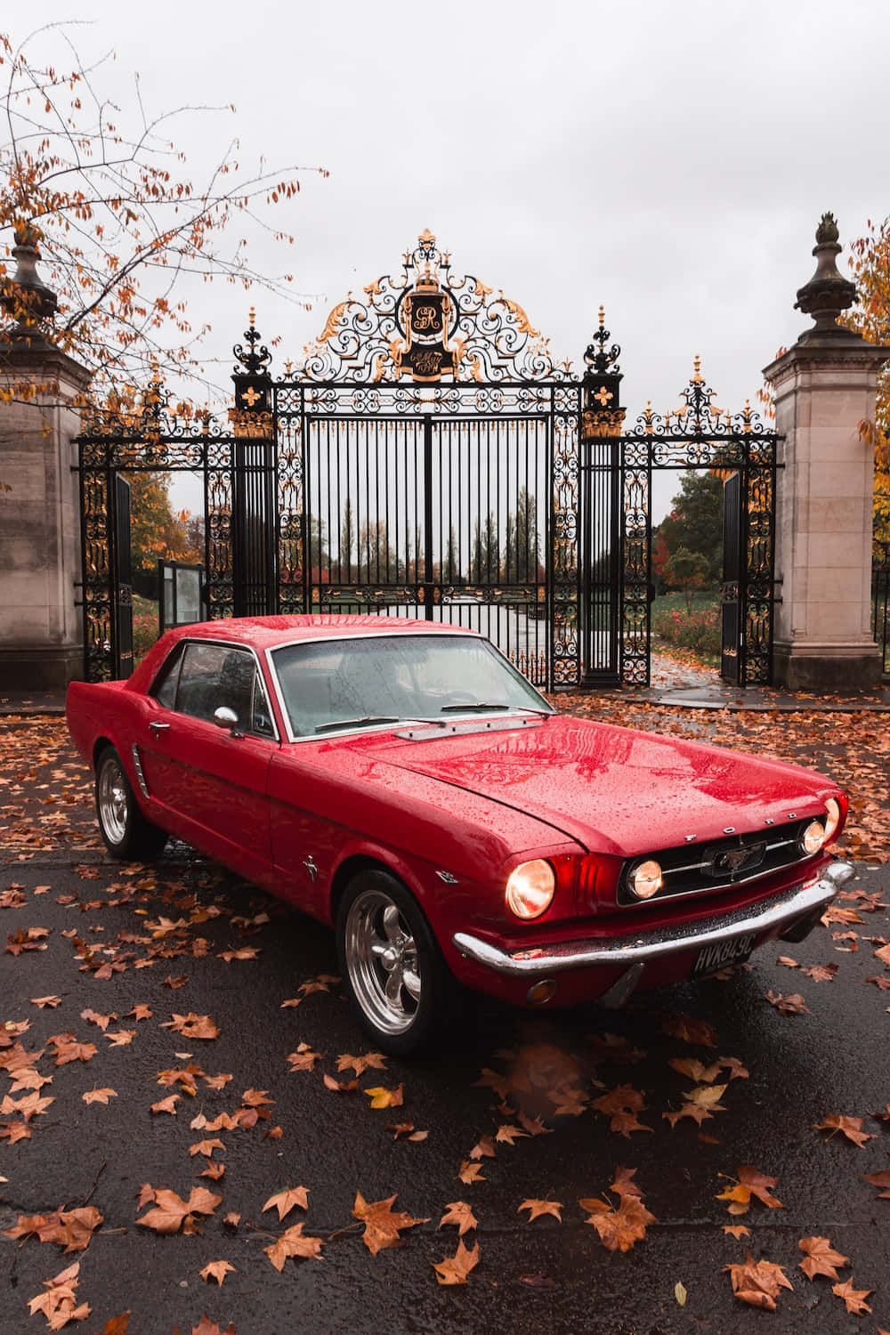 Ford Logo 桌布 壁紙 — 一輛光亮的紅色經典野馬停在濕漉漉的車道上，車道上鋪滿了秋天的落葉，前面是華麗的黑色大門。