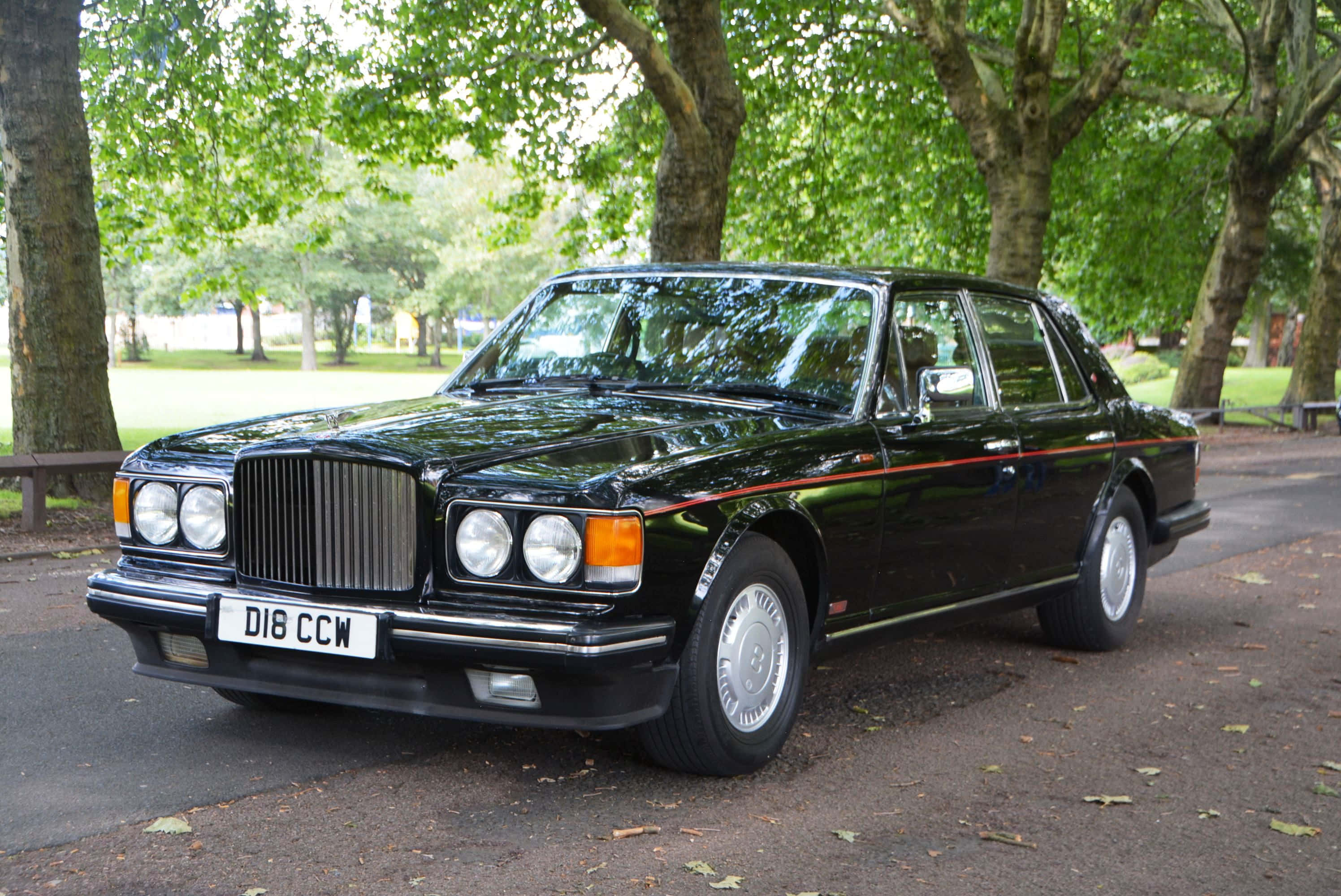 Bentley Turbo R 桌布 壁紙 — 一輛光亮的黑色賓利 Turbo R 轎車停泊在陽光普照、綠樹成蔭的公園小徑上。