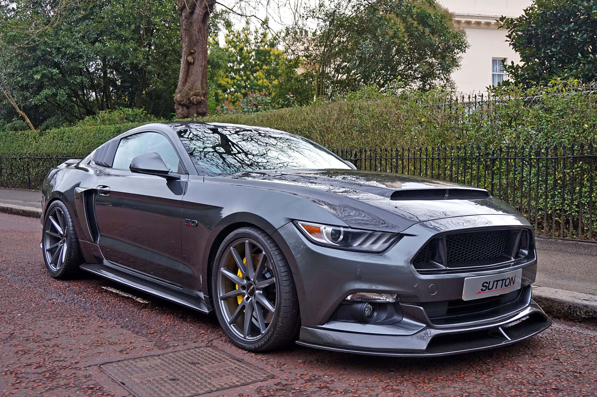 野馬GIF 桌布 壁紙 — 一輛光滑的啞光灰色福特Mustang GT350R停泊在濕漉漉的鵝卵石街道上，旁邊有綠色籬笆和黑色鐵柵欄。