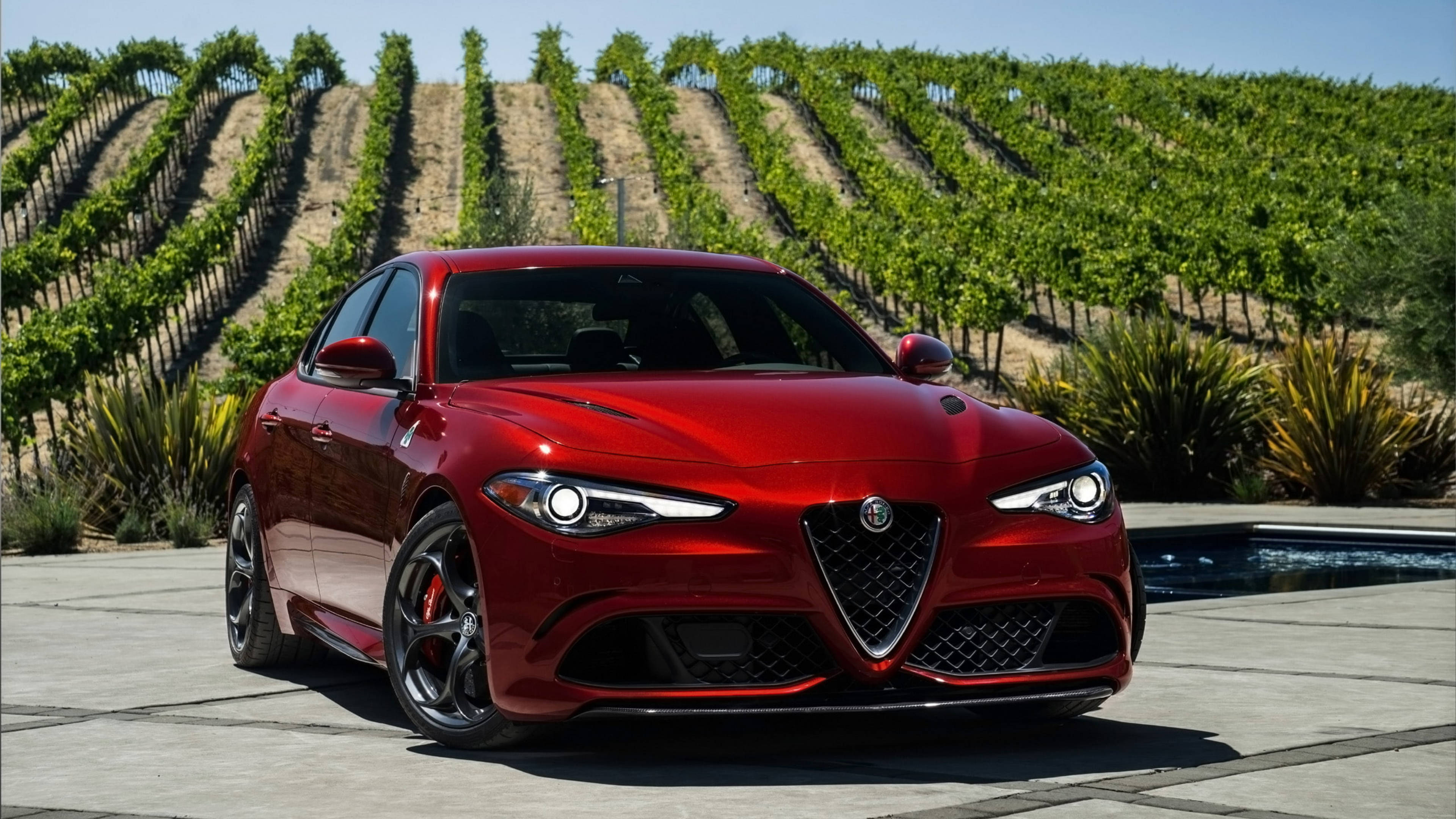 Alfa Romeo 桌布 壁紙 — 一輛光澤的紅色 Alfa Romeo 房車在明亮的陽光下閃閃發光，旁邊是游泳池，背後是梯田葡萄園。