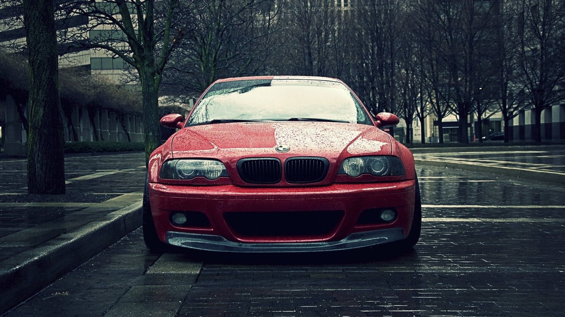 BMW 動圖 桌布 壁紙 — 一輛光澤的紅色BMW跑車停放在潮濕的城市街道上，天空陰沉，人行道旁排列著光禿禿的樹木。