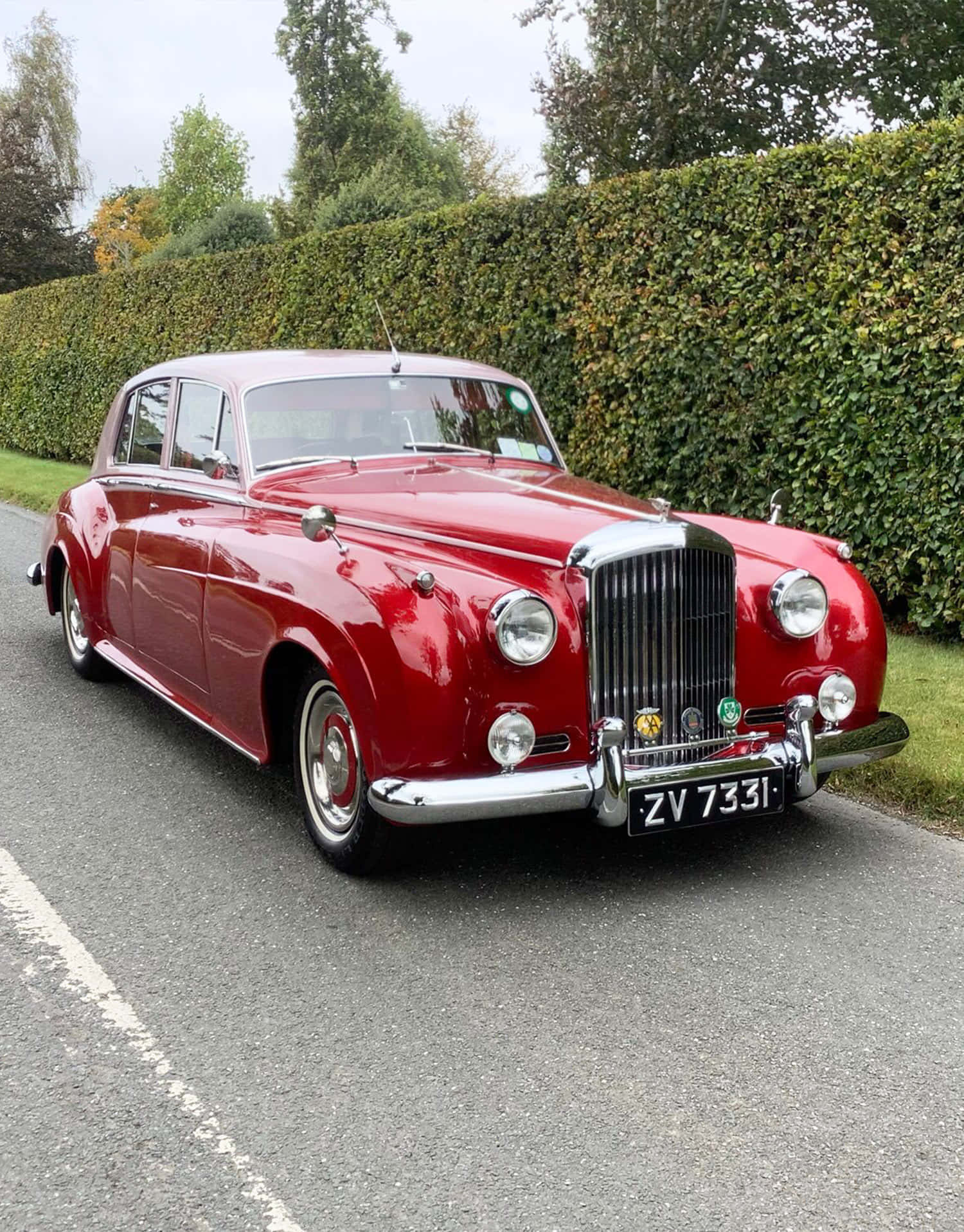 Bentley S2 桌布 壁紙 — 一輛光澤的紅色復古賓利轎車在陰天下一條安靜的道路上，旁邊是修剪整齊的樹籬，閃閃發光。