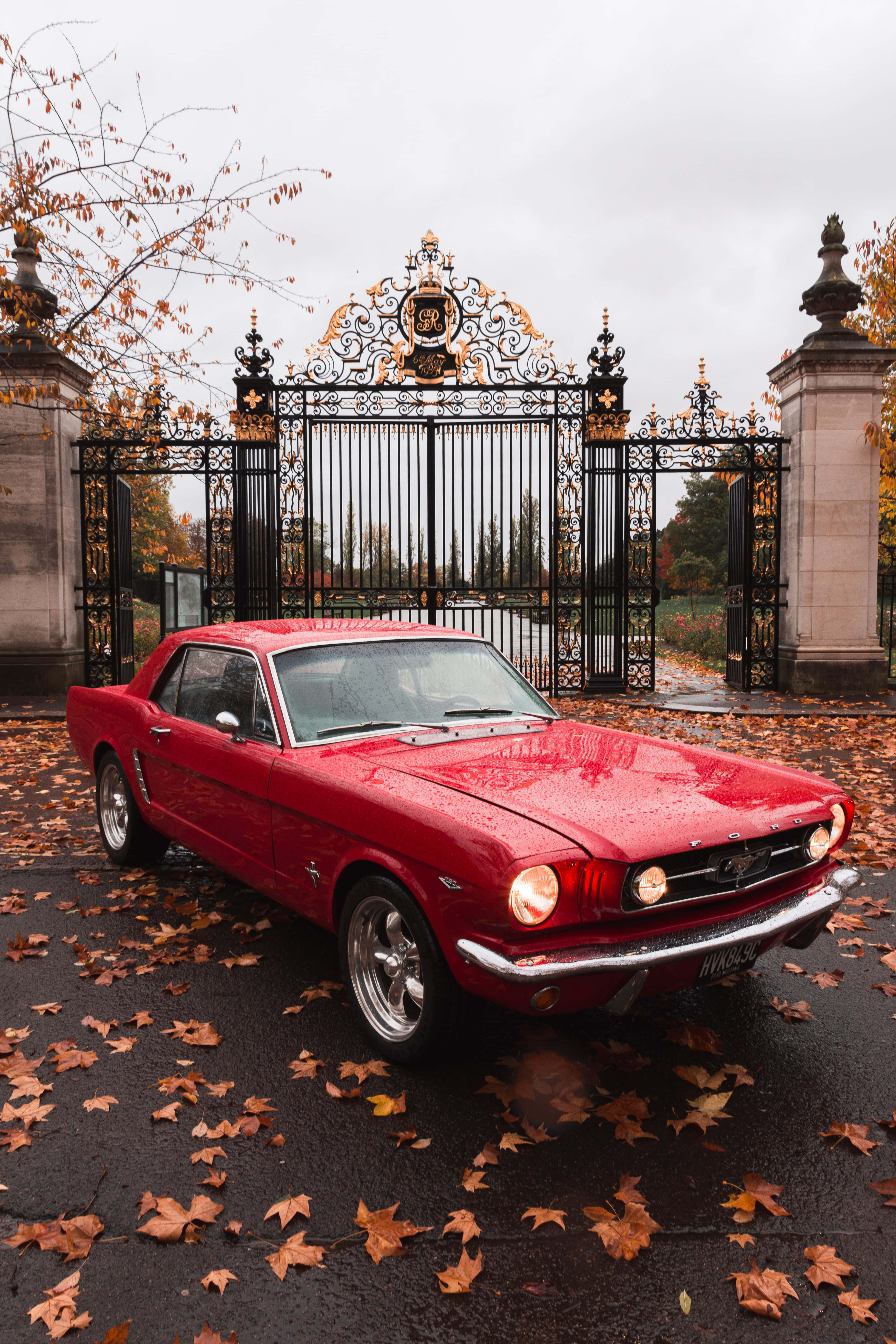 Ford 桌布 壁紙 — 一輛光澤的紅色經典野馬停放在華麗的鍛鐵門前，周圍是飄落的秋葉。