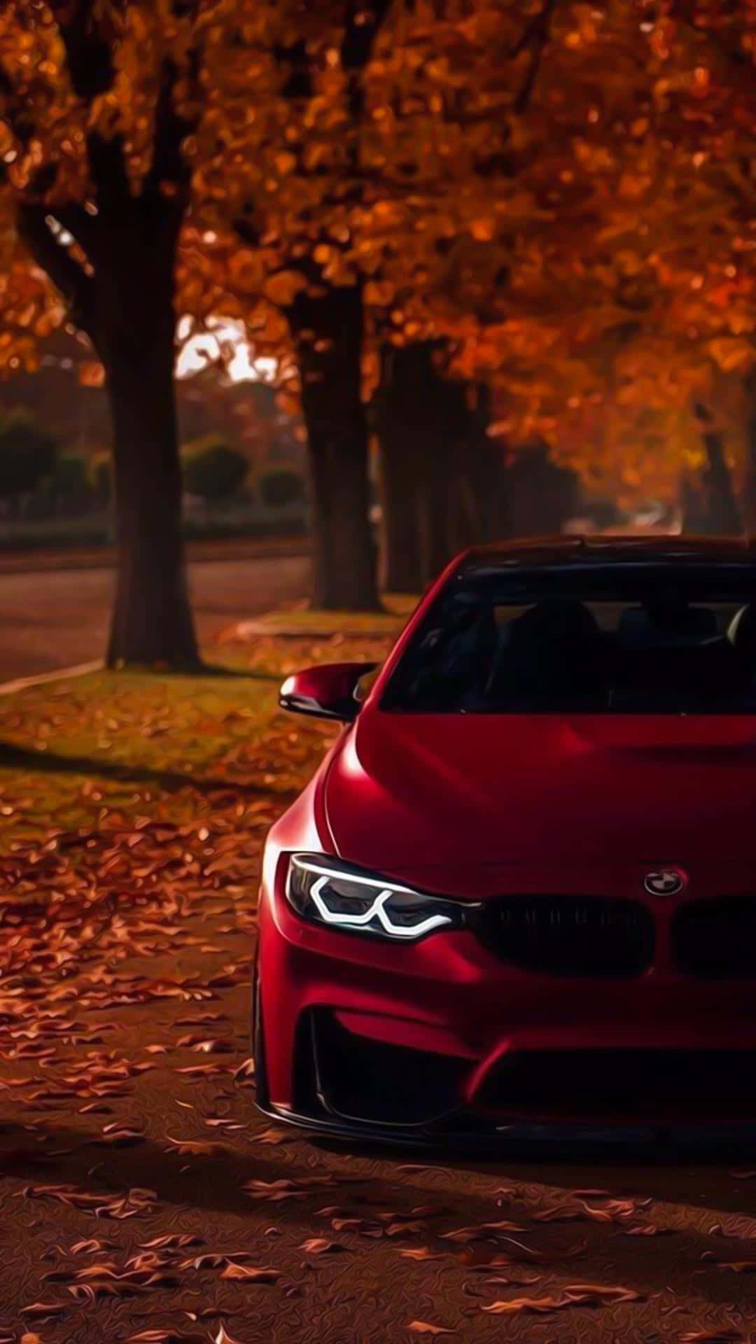 BMW 動圖 桌布 壁紙 — 一輛光澤的紅色跑車停放在金黃色的秋樹下，地面覆蓋著落葉。