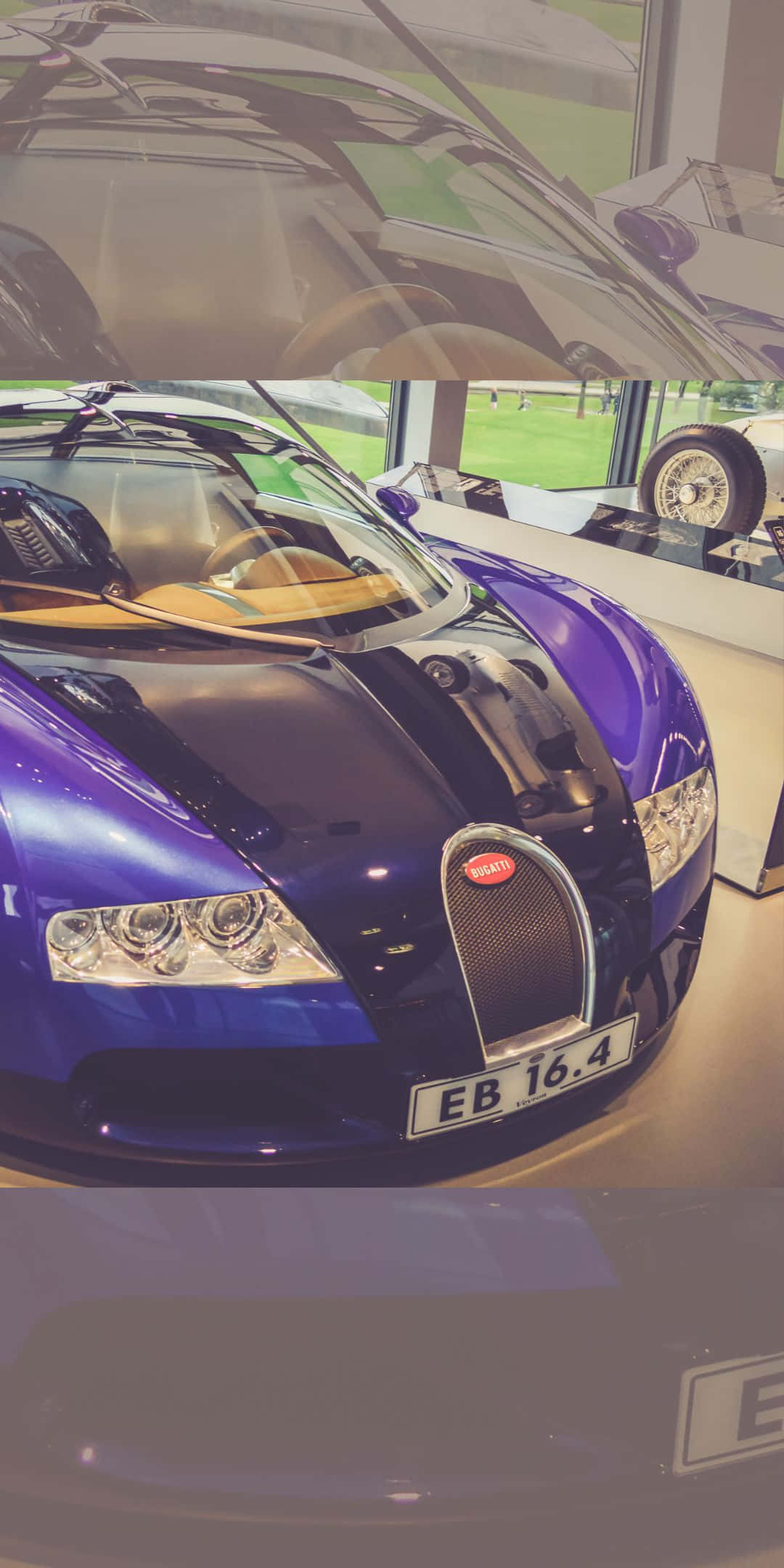 Bugatti Phone 桌布 壁紙 — 一輛光澤紫色的布加迪 EB 16.4 超級跑車在博物館燈光下閃閃發光，後方窗戶可見綠色草坪。