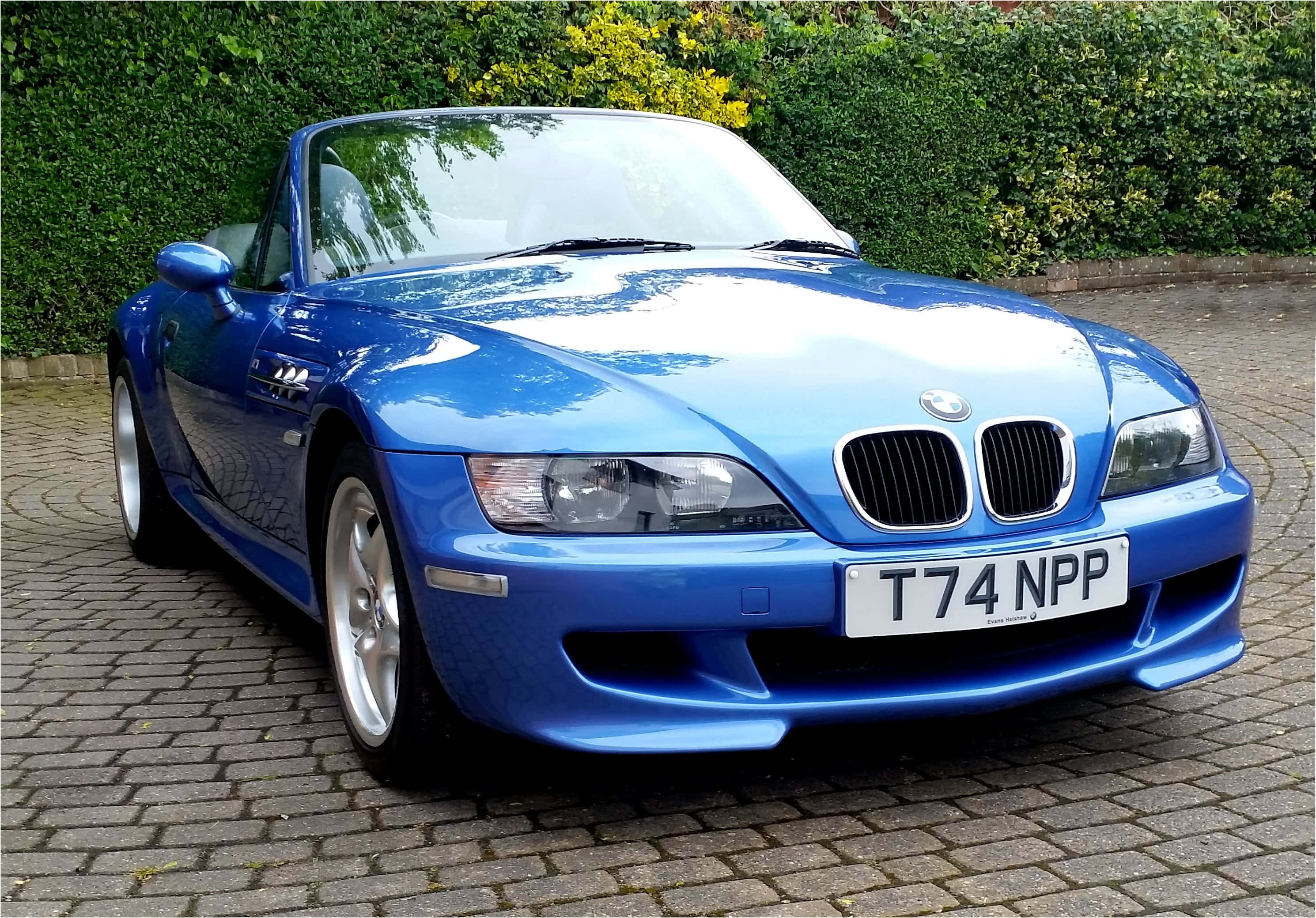 Bmw Z3 桌布 壁紙 — 一輛光澤藍色BMW Z8敞篷車停泊在鵝卵石車道上，背景有綠色樹籬。