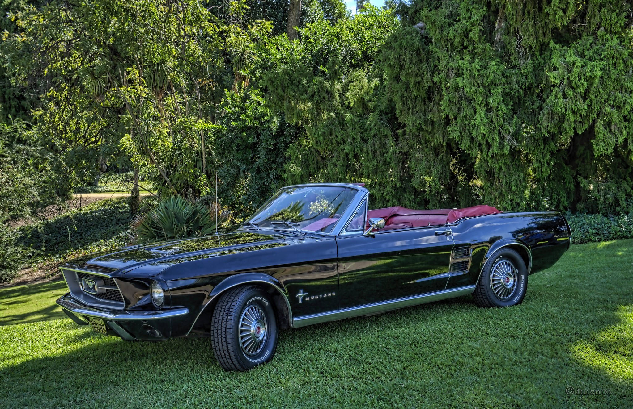 Vintage Car 桌布 壁紙 — 一輛光澤黑色經典野馬敞篷車，紅色內裝，停在鮮綠色草地上，陽光明媚。