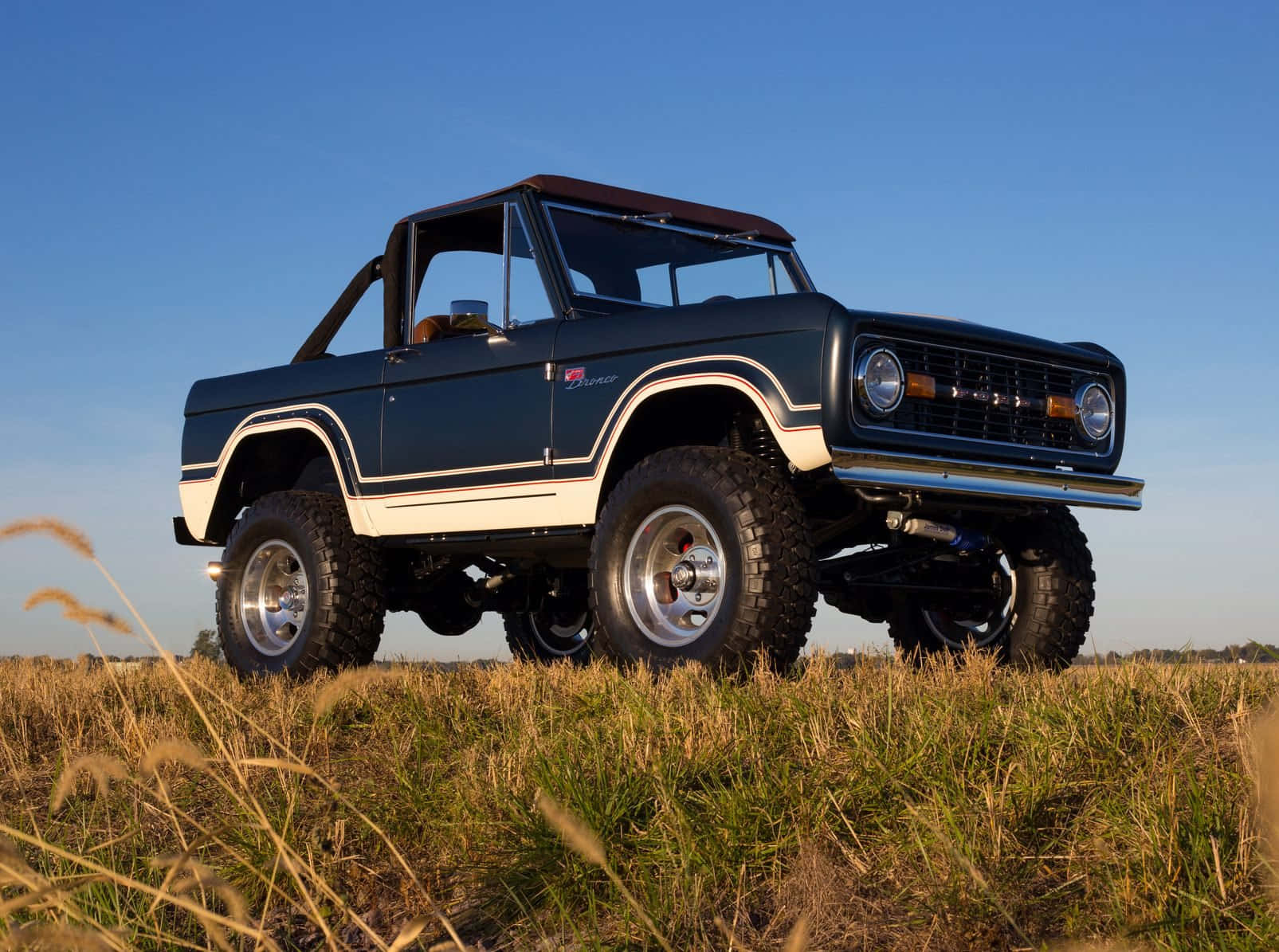 Ford Bronco 桌布 壁紙 — 一輛升高的藍白色福特 Bronco 在晴朗藍天下的陽光草地上自豪地站立。