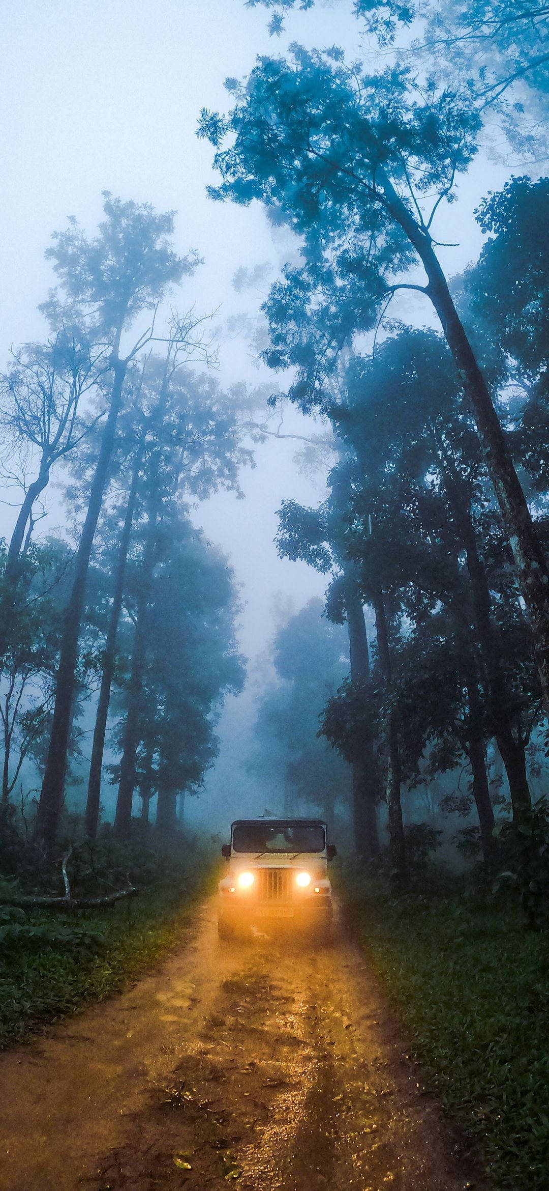 手機 桌布 壁紙 — 一輛吉普車的車頭燈穿透濃霧，行駛在一條泥濘的森林小徑上，兩旁是高聳的樹木。