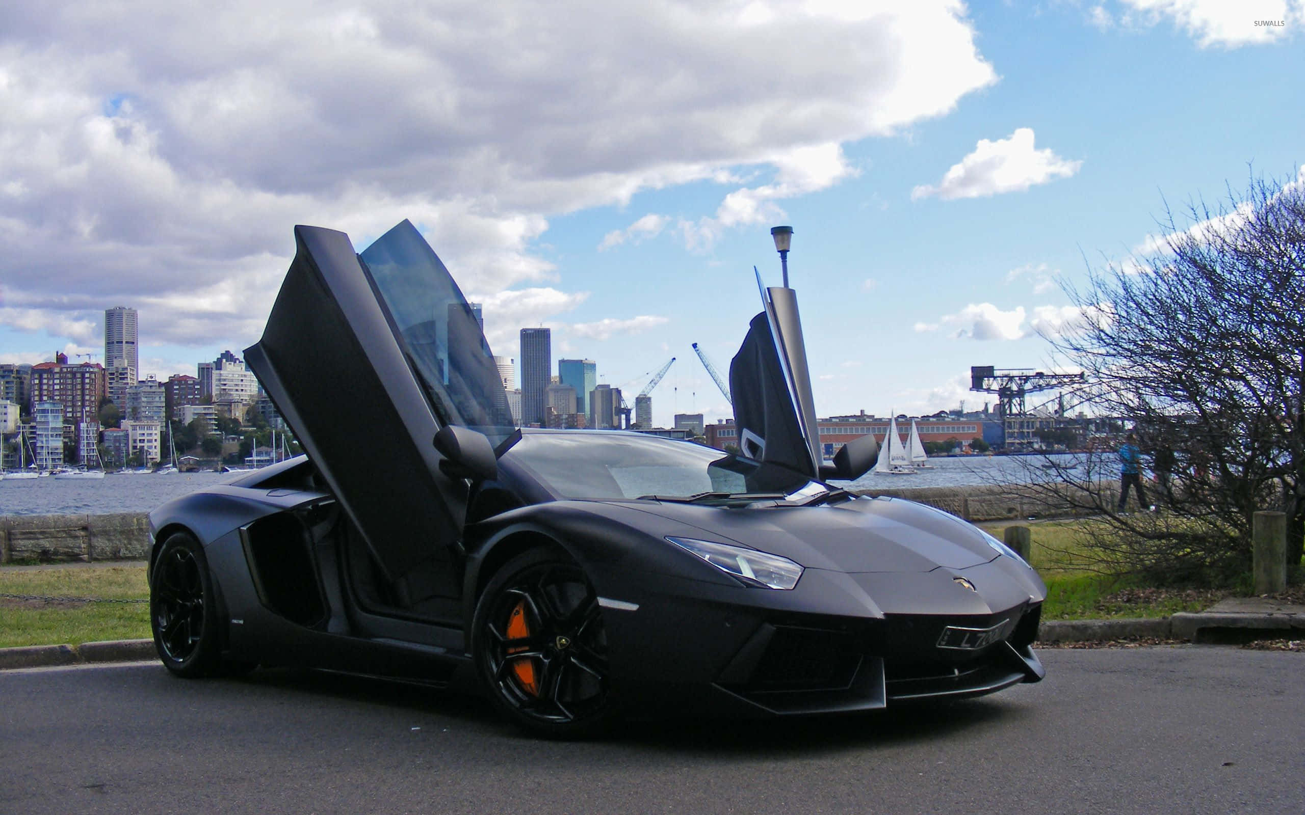 Cool Car 桌布 壁紙 — 一輛啞黑色藍寶堅尼Aventador，剪刀門打開，停泊在海濱，城市天際線在部分多雲的天空下。