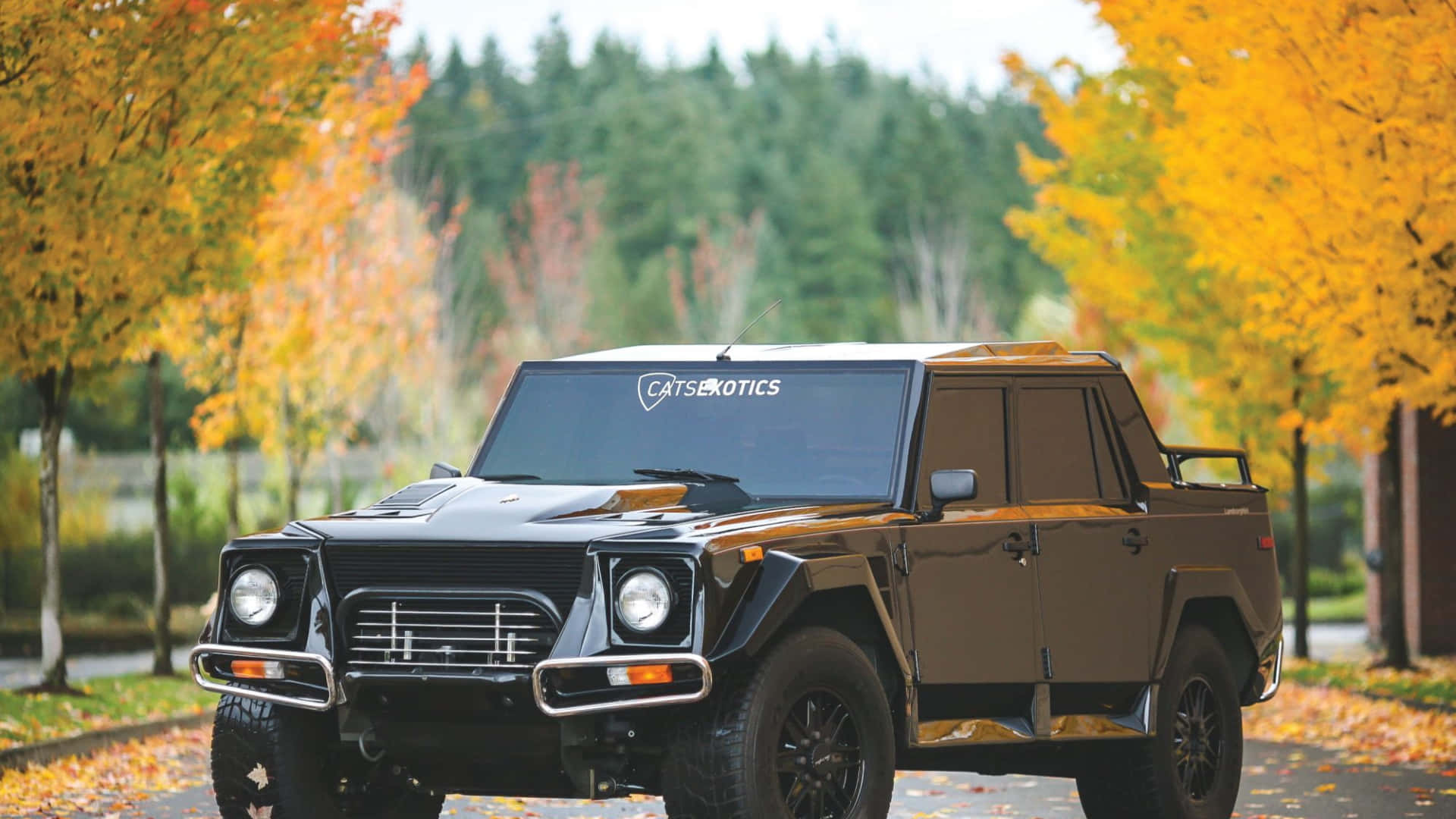 Lamborghini Lm002 桌布 壁紙 — 一輛堅固的棕色和黑色裝甲SUV停在落葉滿地的道路上，周圍是色彩繽紛的秋樹。