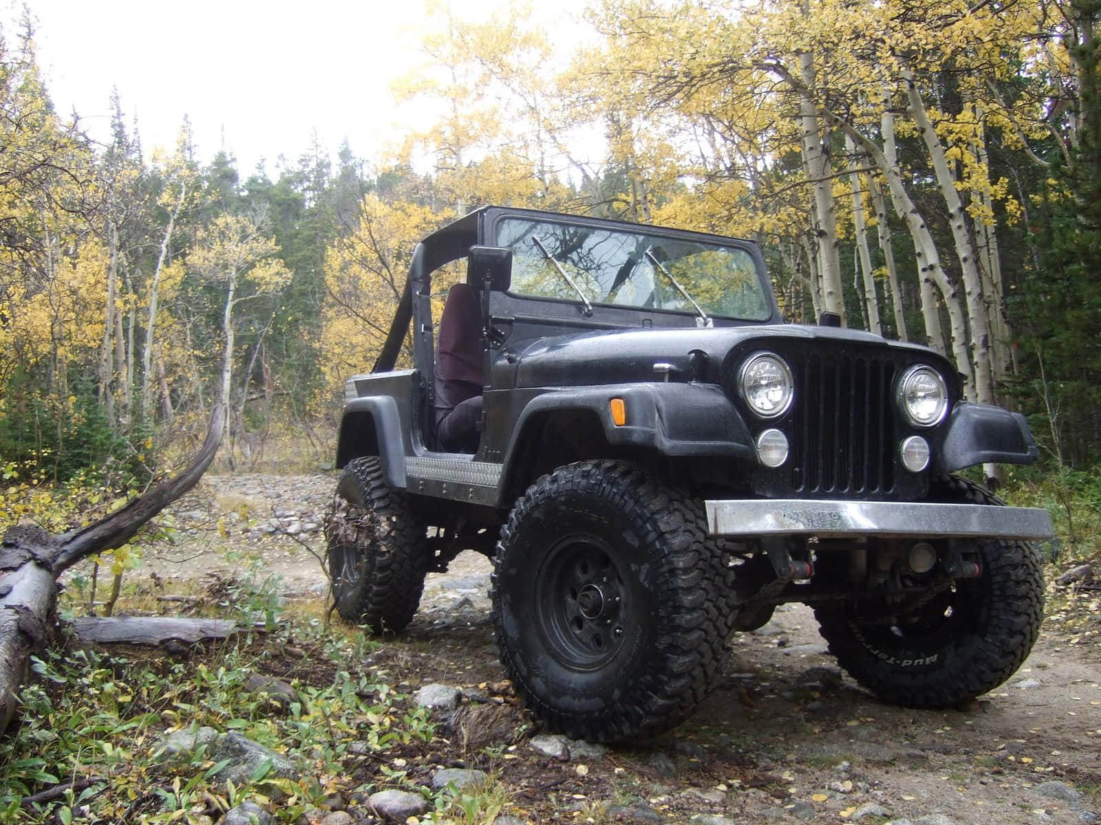 Jeep Cj 桌布 壁紙 — 一輛堅固的黑色Jeep Wrangler停泊在秋季金黃色白楊樹環繞的岩石森林小徑上。