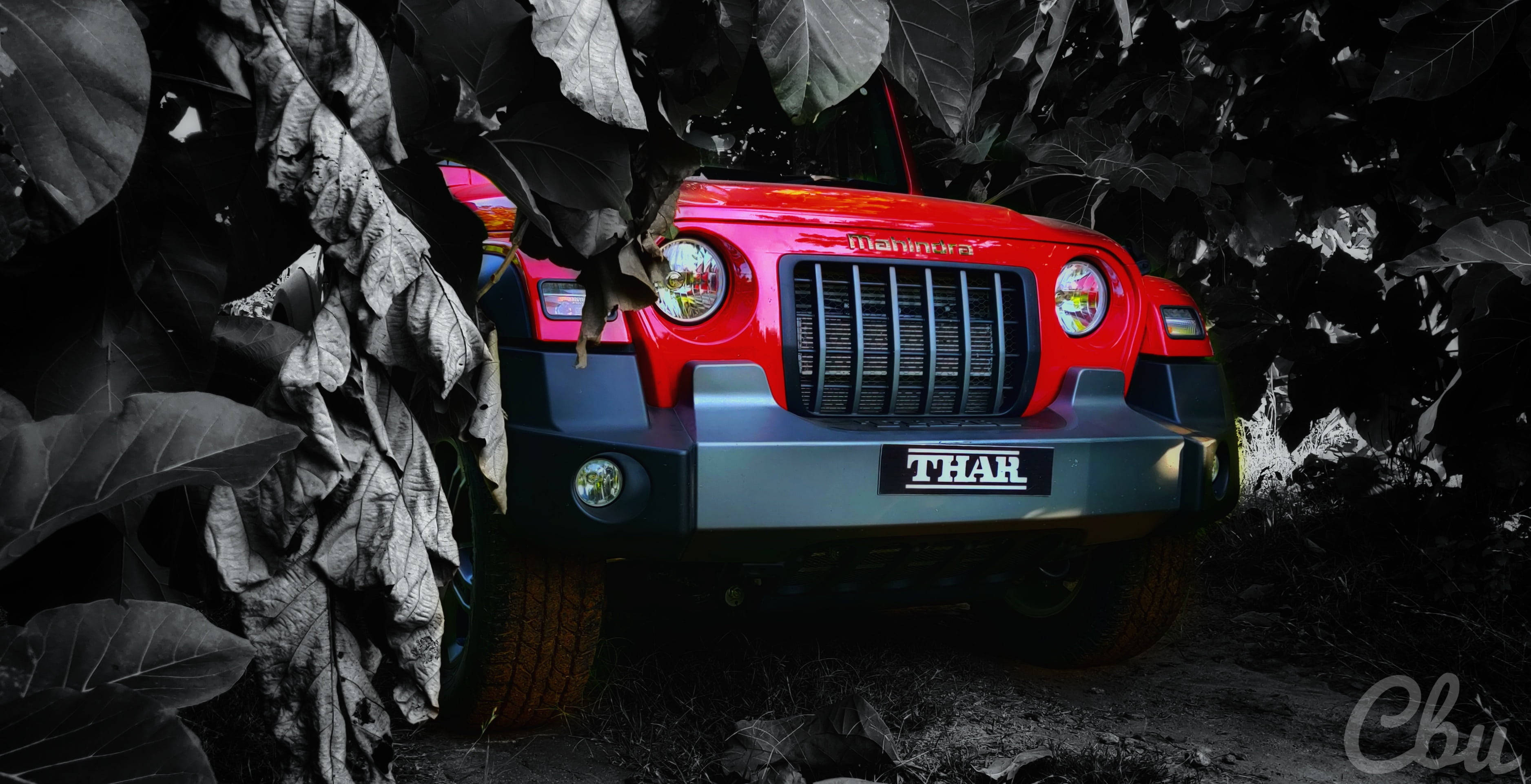 汽車 4K 桌布 壁紙 — 一輛大膽的紅色Mahindra Thar SUV從濃密的單色樹葉中出現，其車頭燈穿透陰暗的叢林灌木叢。
