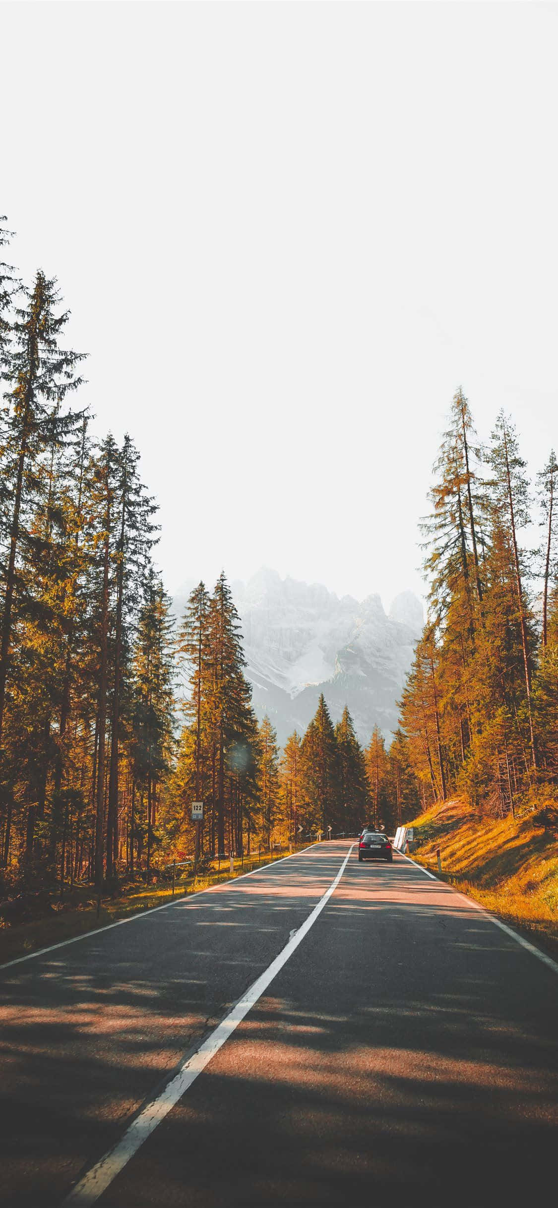 Pine Trees 桌布 壁紙 — 一輛孤獨的汽車在明亮的天空下，沿著兩旁高聳的松樹、金黃秋葉的蜿蜒森林道路行駛。