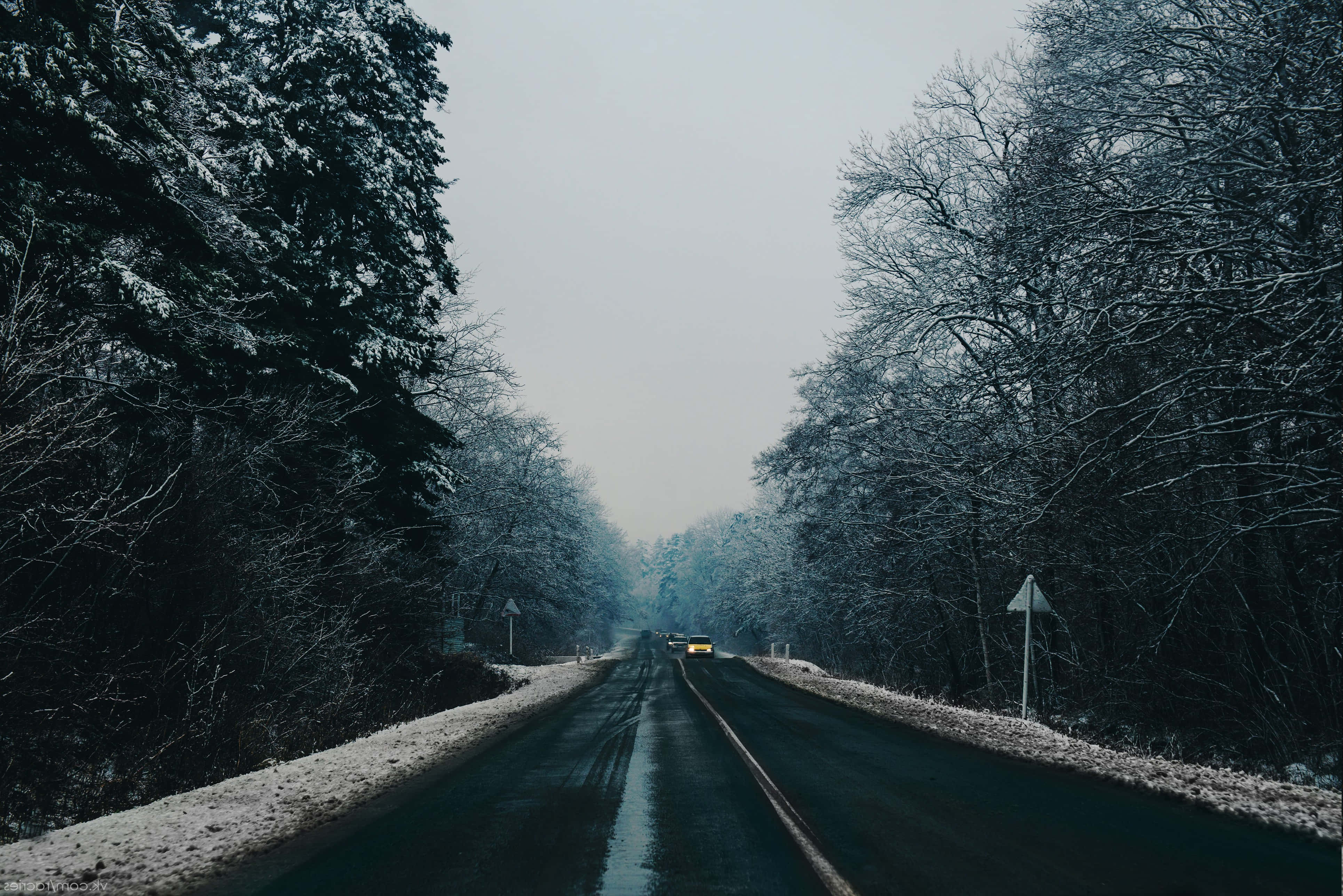 Road 桌布 壁紙 — 一輛孤獨的汽車在灰濛濛的冬日天空下行駛在積雪的森林道路上。