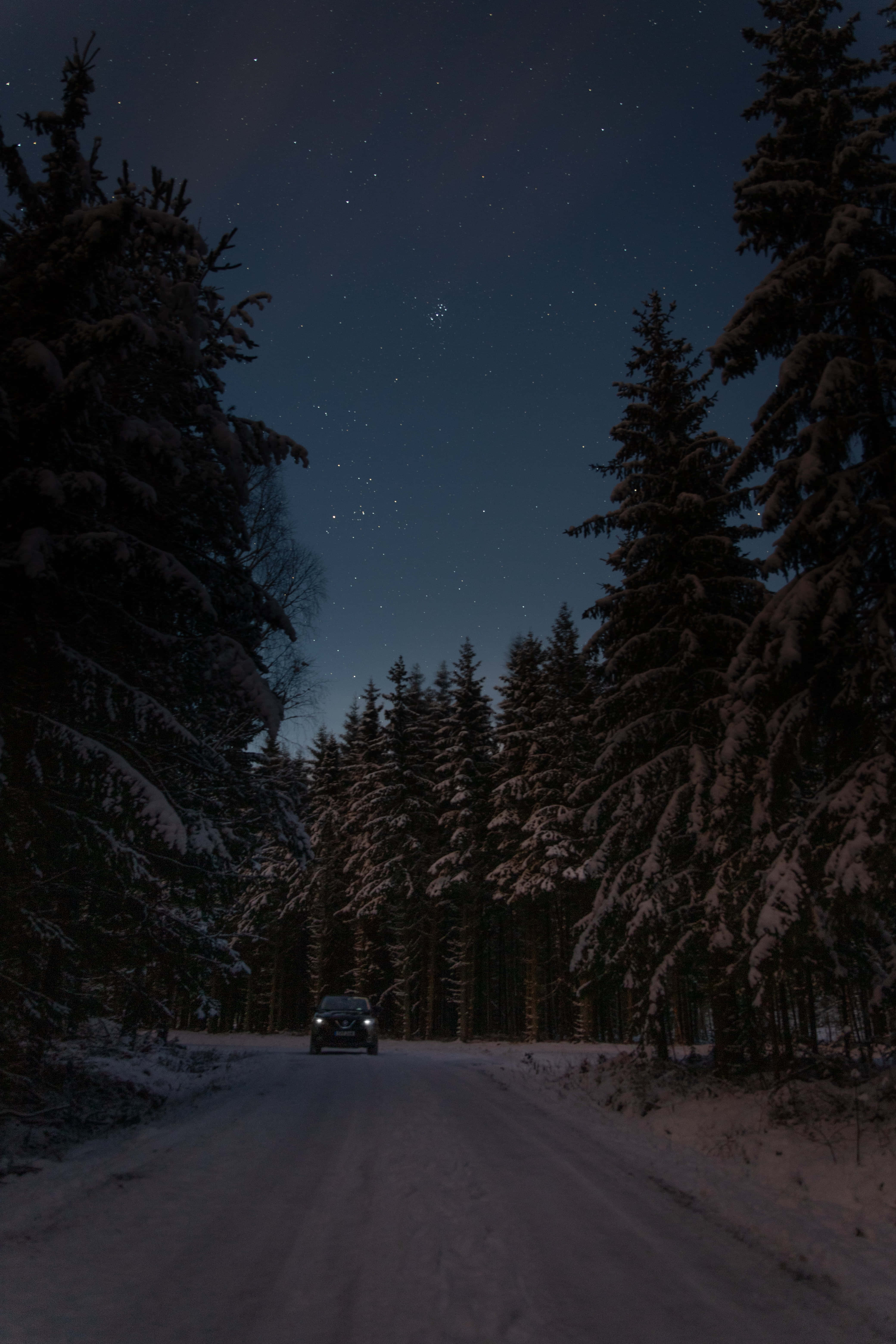 冬天 桌布 壁紙 — 一輛孤獨的汽車在白雪覆蓋的森林道路上行駛，頭上是繁星點點的冬夜天空。