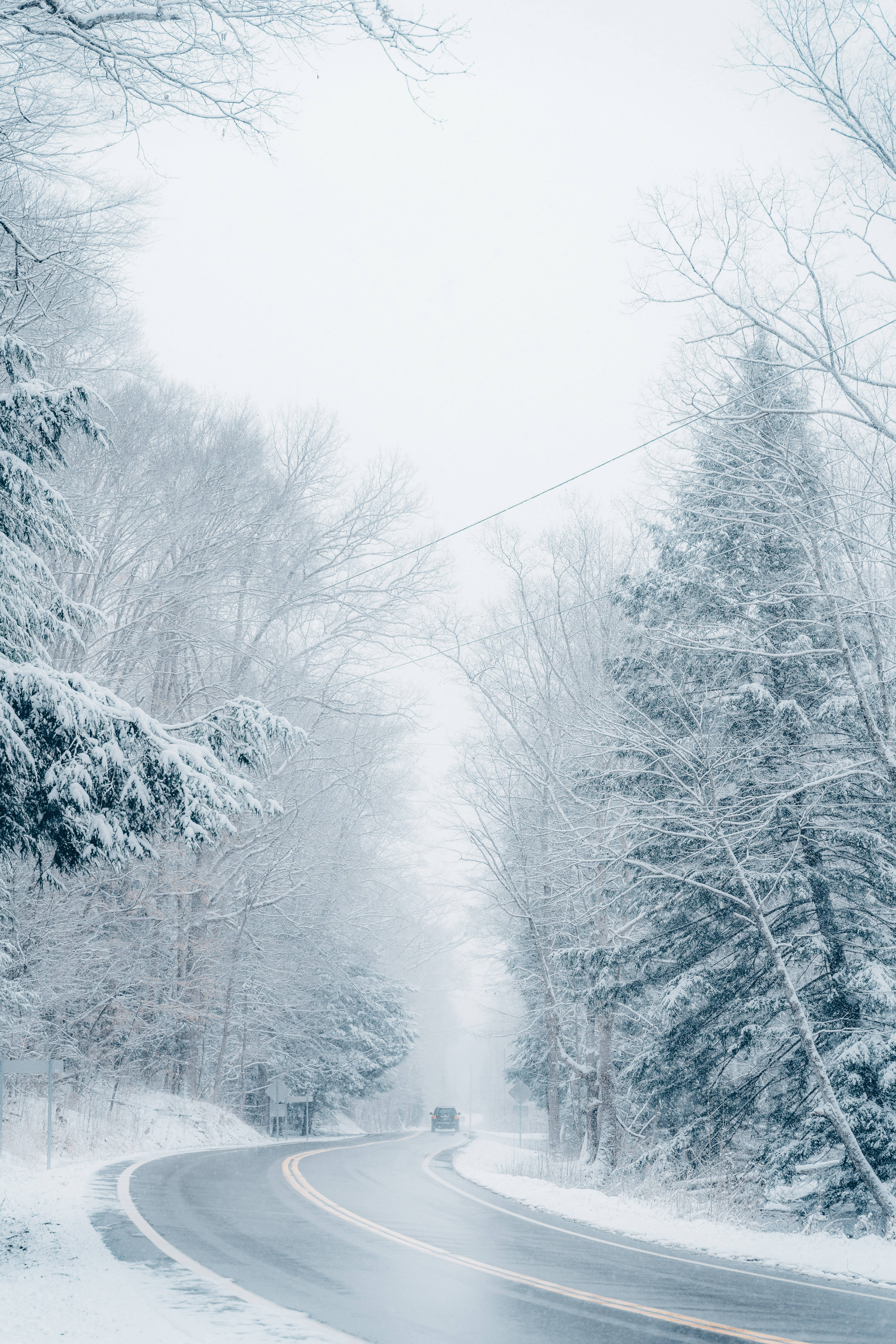 酷寒冬季 桌布 壁紙 — 一輛孤獨的汽車在蜿蜒的雪路上行駛，兩旁是白雪覆蓋的樹木，天空灰濛濛的冬日景象。