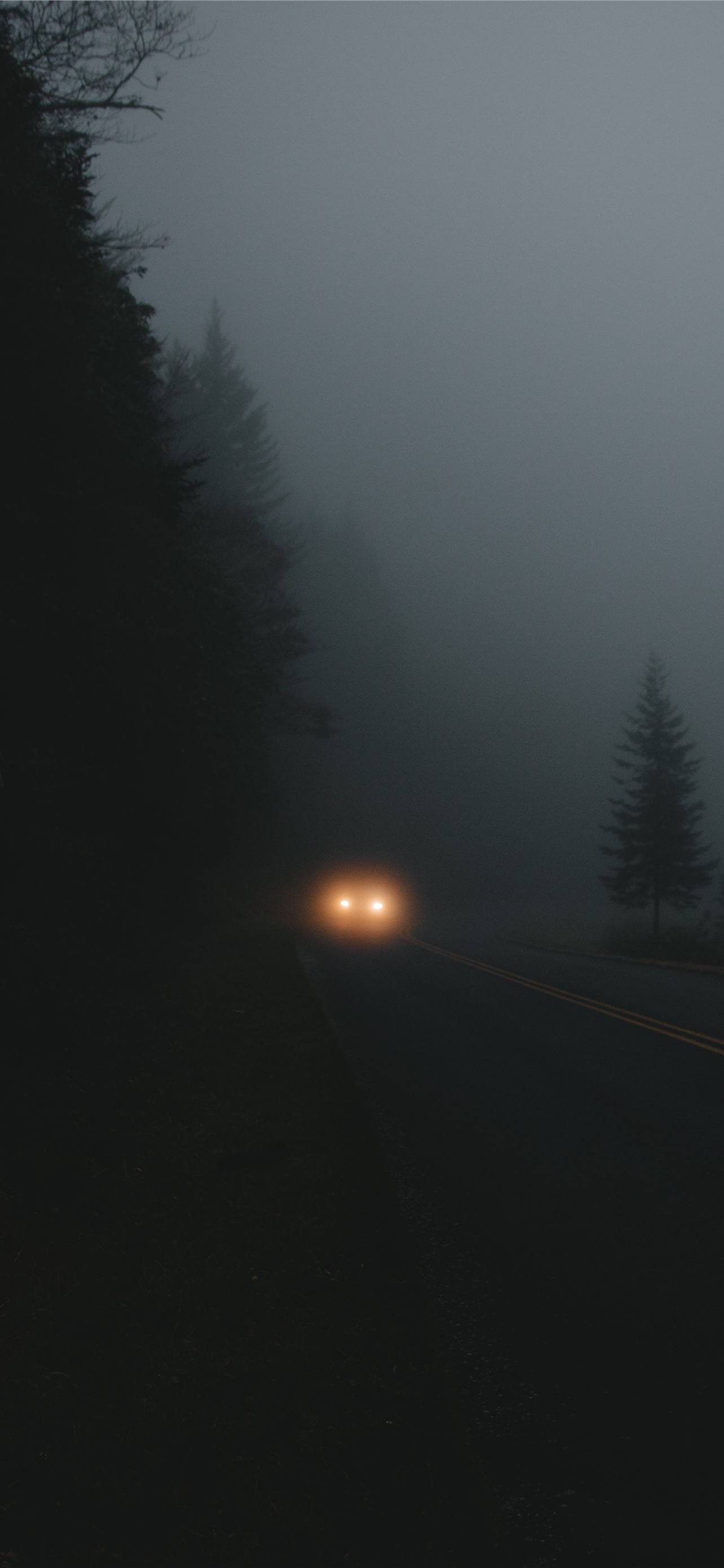 Road 桌布 壁紙 — 一輛孤獨的汽車車頭燈在夜晚穿透濃霧，照亮黑暗的森林道路。