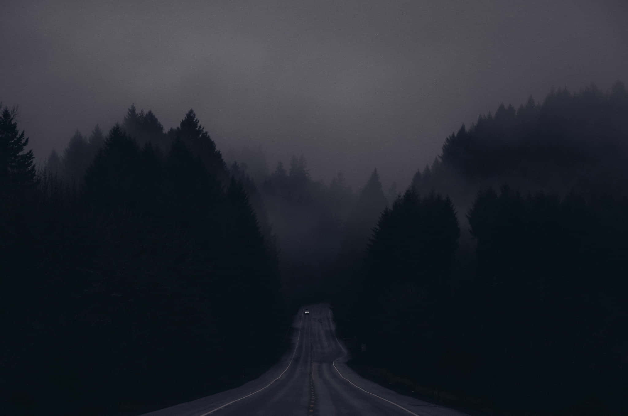 Dark Road 桌布 壁紙 — 一輛孤獨的汽車車頭燈在夜間穿透茂密森林道路上濃厚的霧氣。
