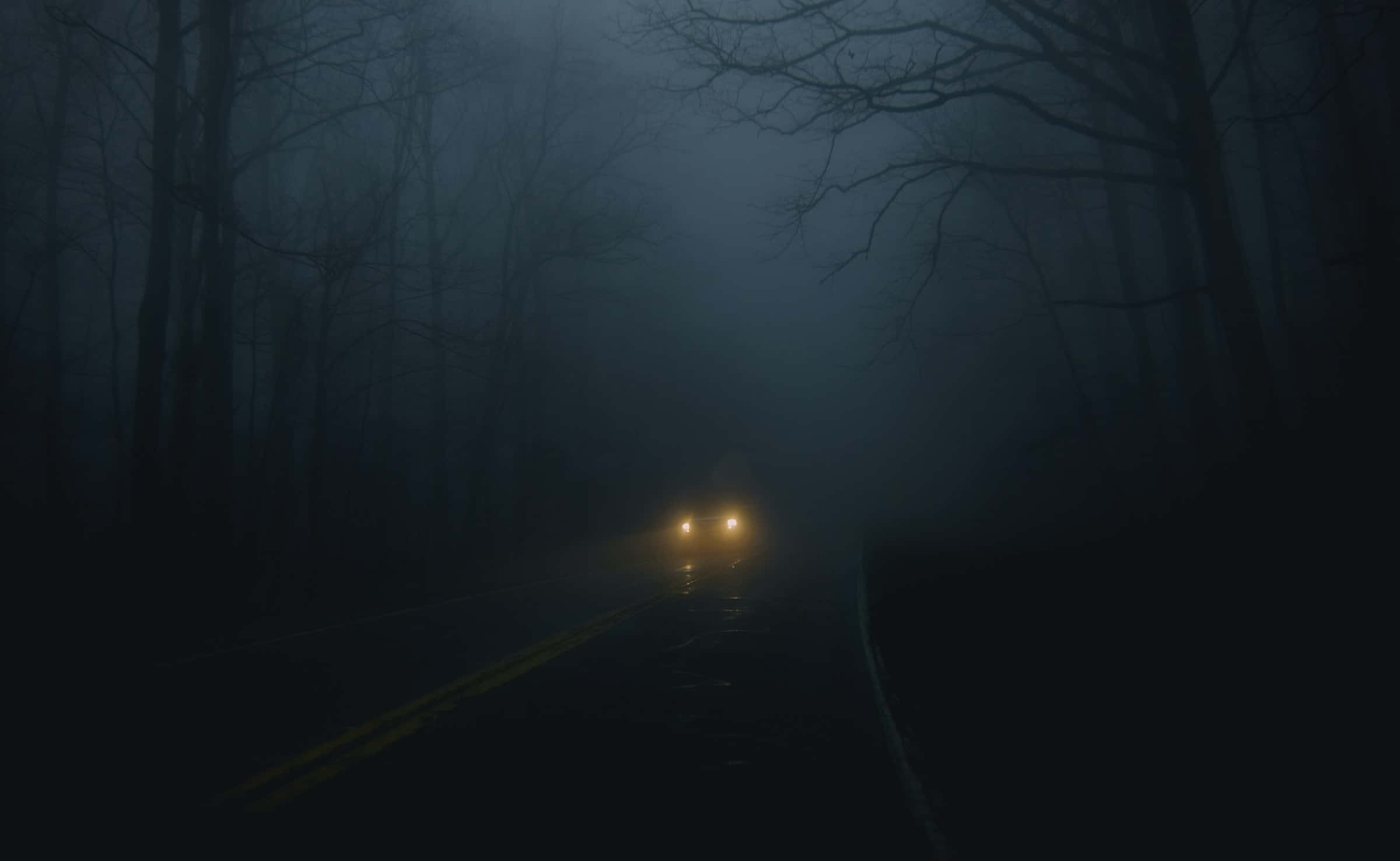 Dark Road 桌布 壁紙 — 一輛孤獨的汽車車頭燈穿過濃霧，行駛在一條兩旁光禿樹木的黑暗森林道路上。